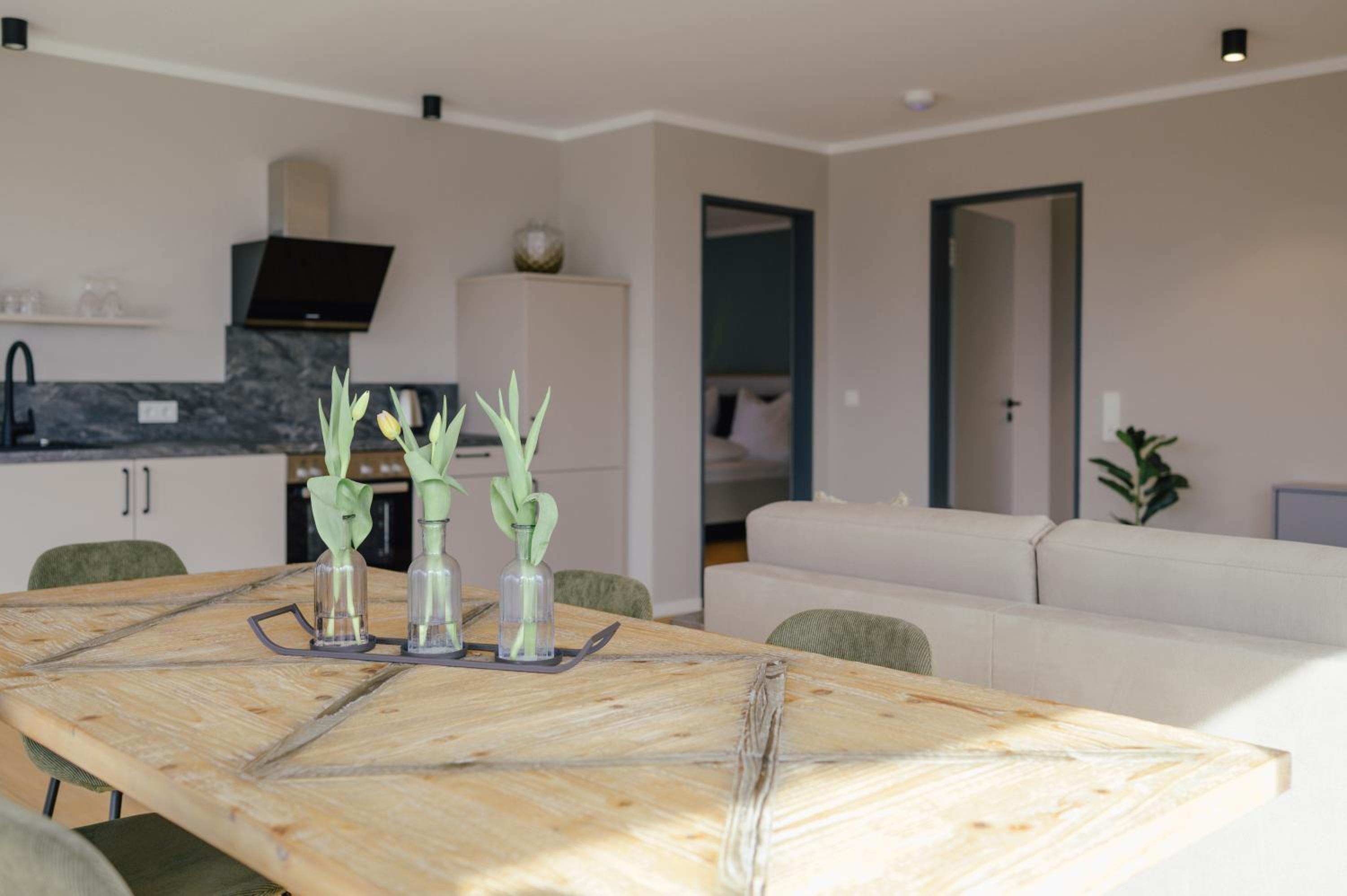 Penthouse Apartment photo 3