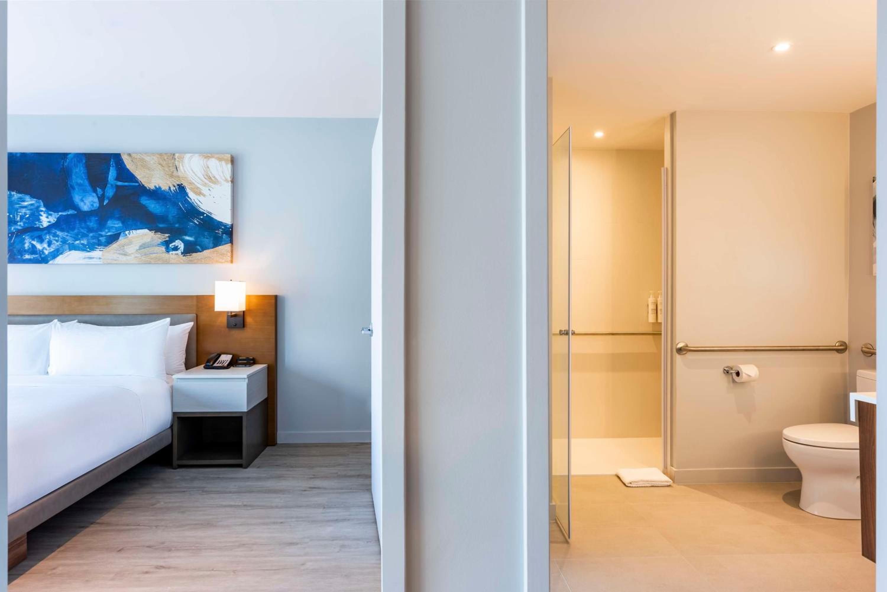 King Suite - Disability Access Roll in Shower - Photo 4