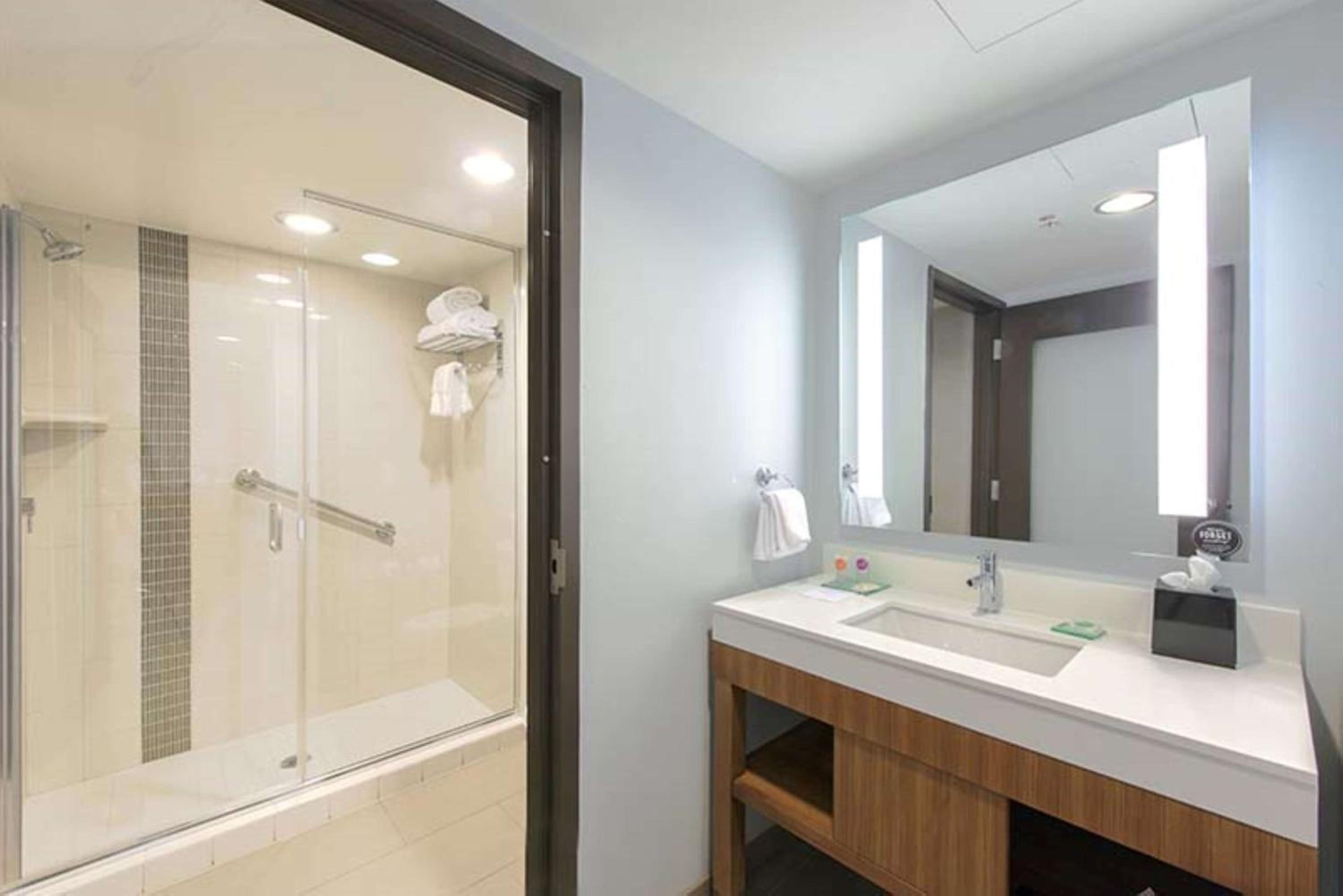 King Suite with Mountain View photo 3