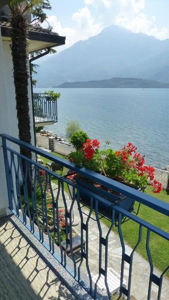 Apartment with Terrace photo 2