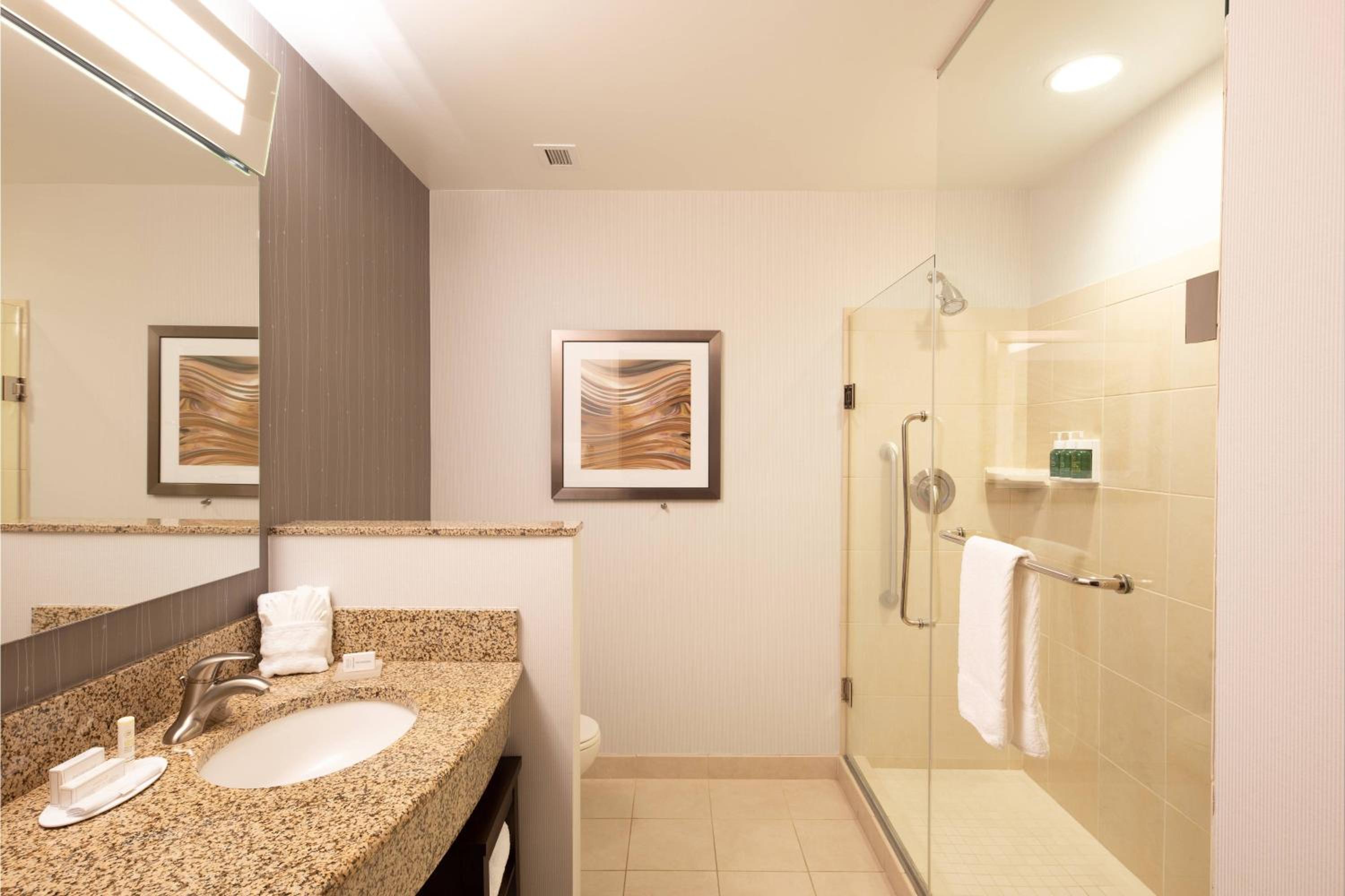 Junior King Suite with Sofa Bed - Photo 3
