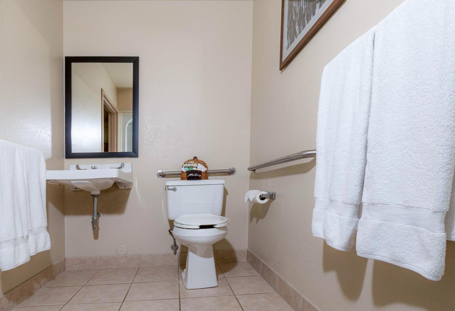 Deluxe King Room photo 3
