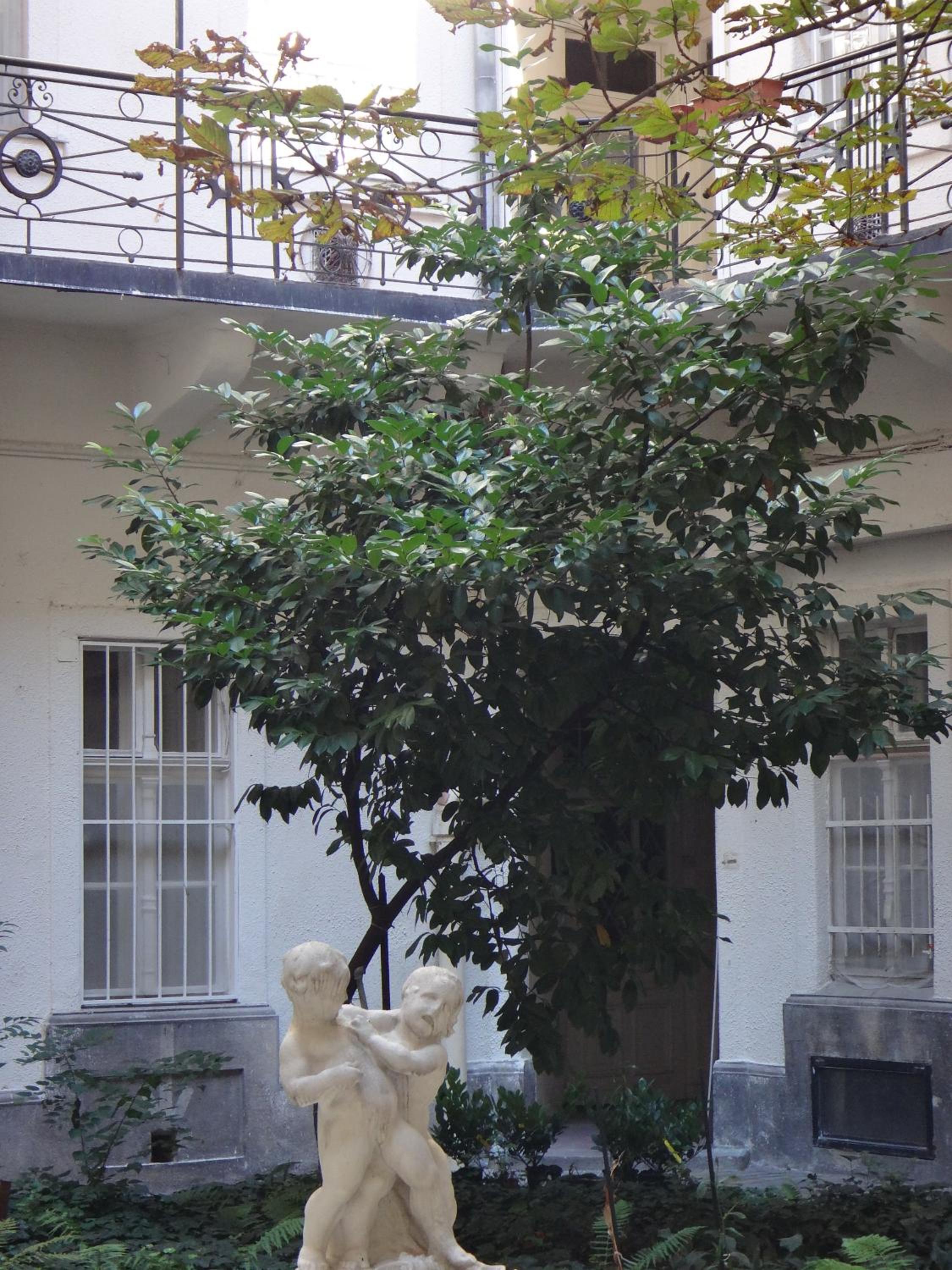 Studio Apartment - Photo 10