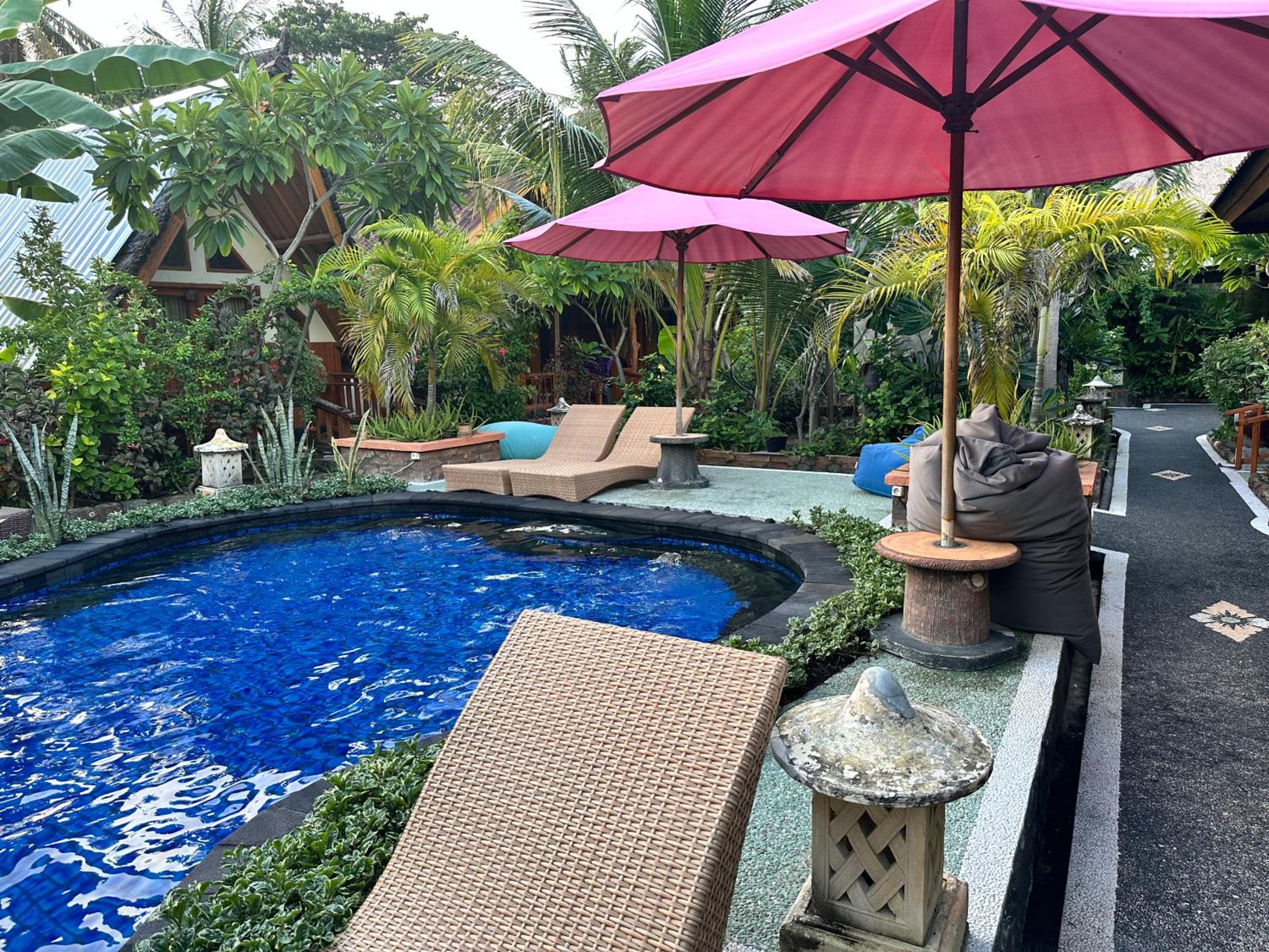 King Room with Garden View photo 3