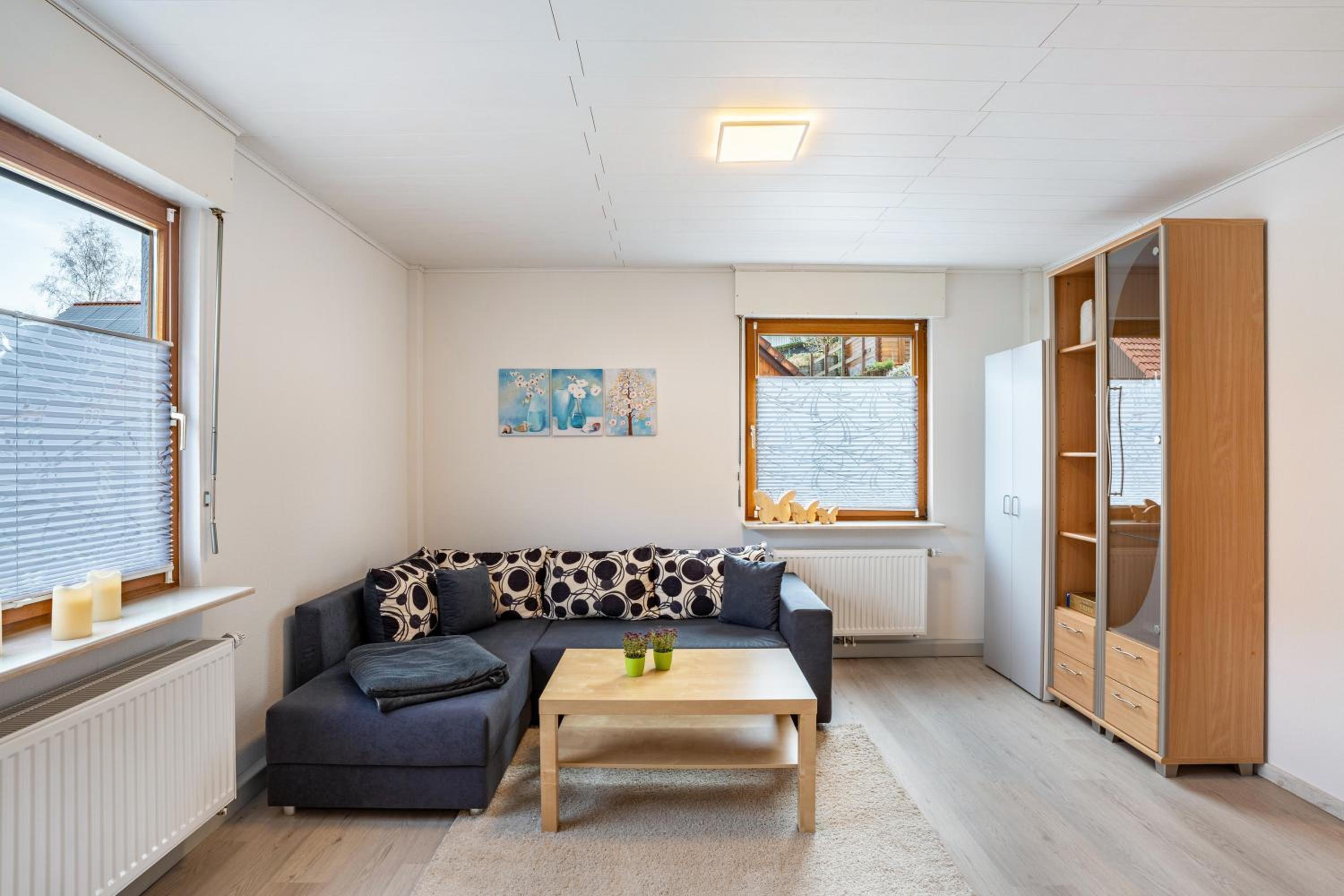 Apartment with Mountain View