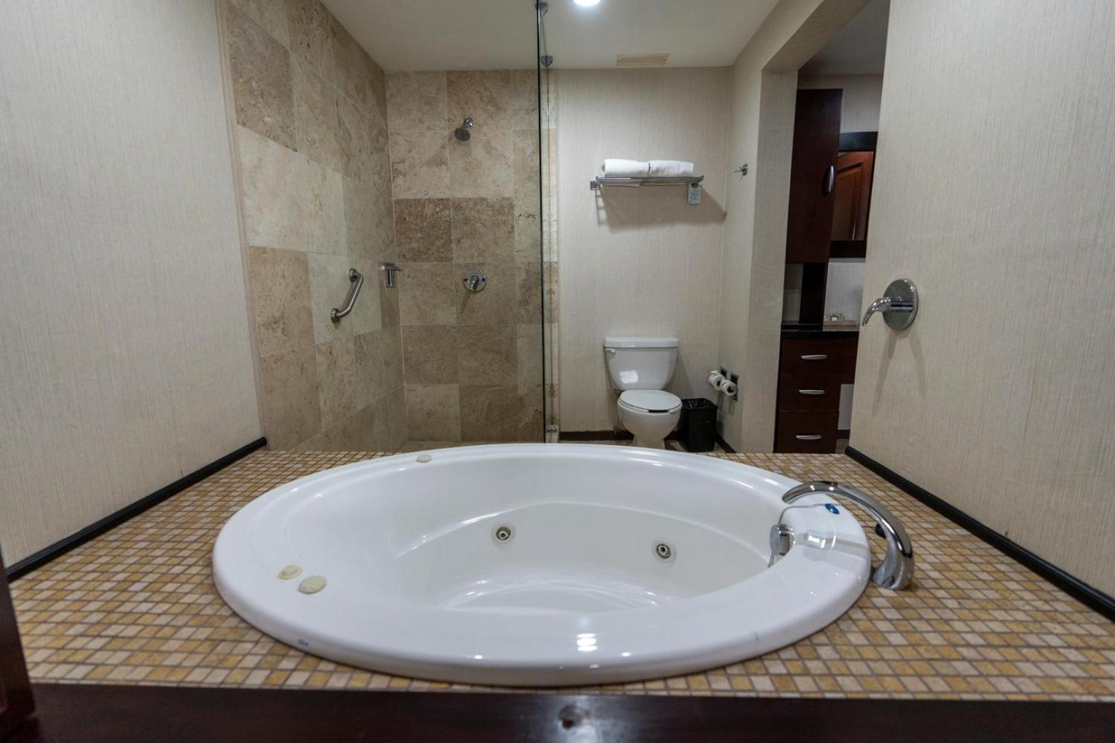 One-Bedroom Suite - Photo 5