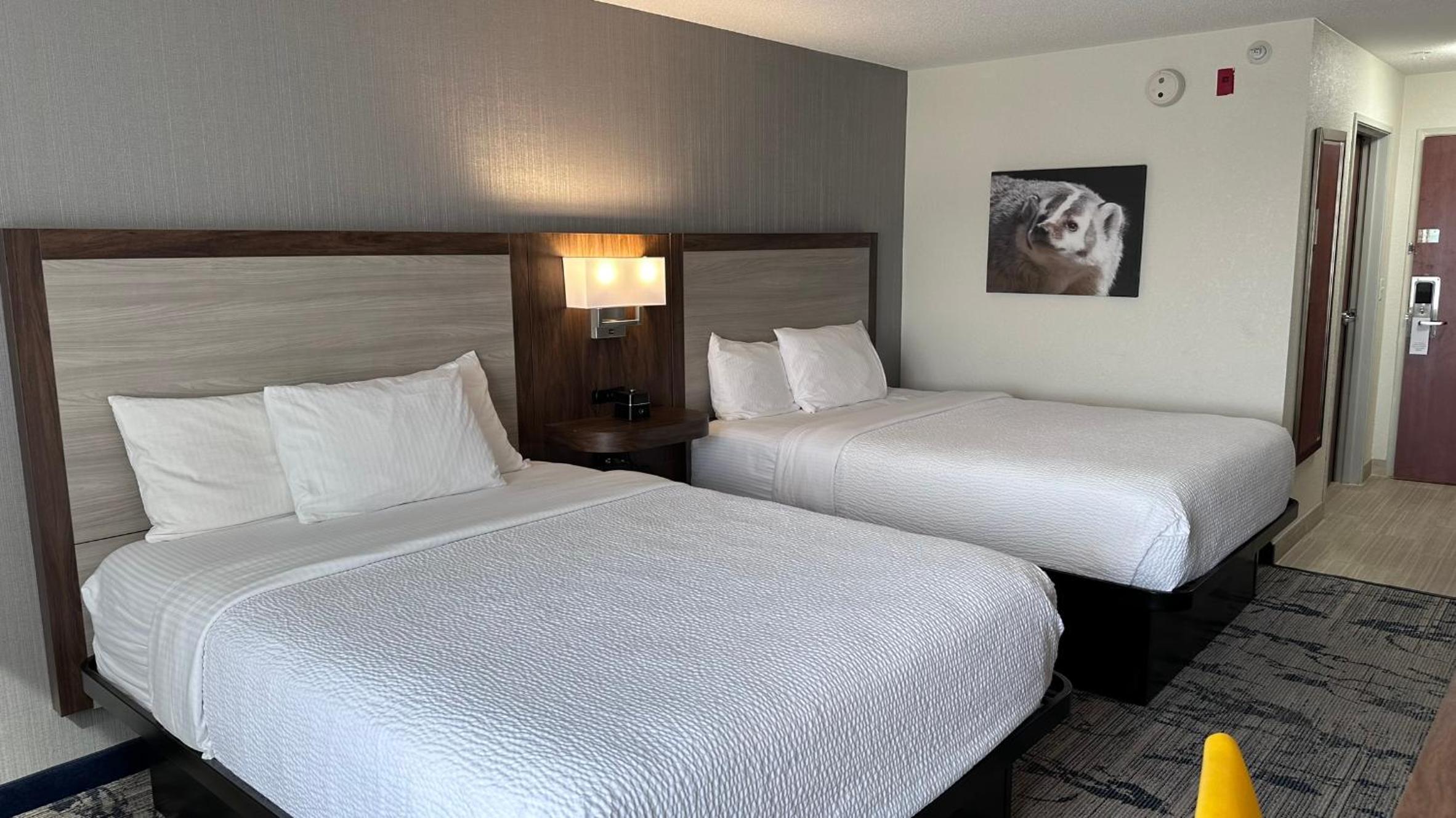 Double Room with Two Double Beds - Photo 4