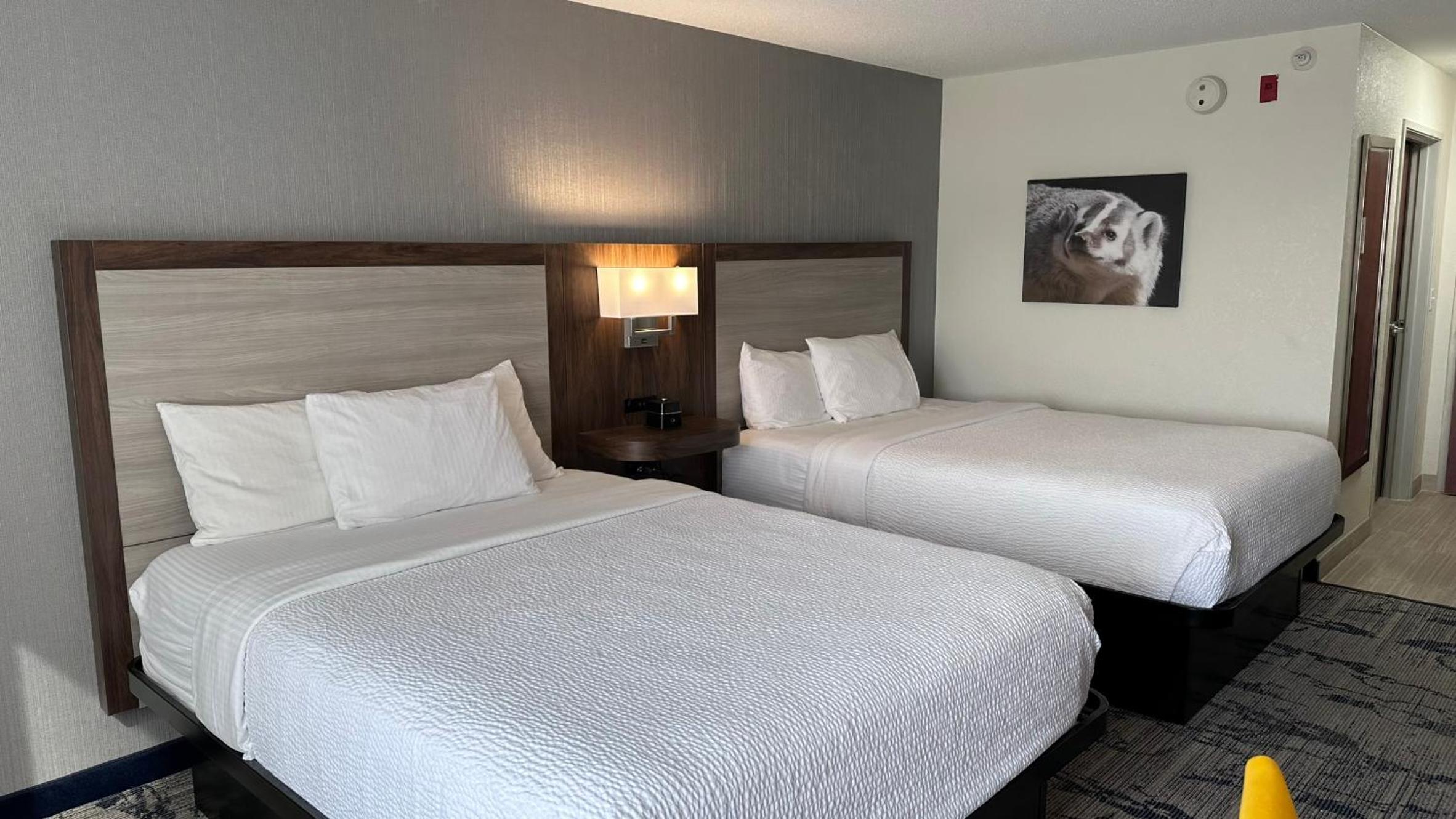 Double Room with Two Double Beds and Bath Tub - Mobility/Hearing Accessible - Non-Smoking - Photo 7