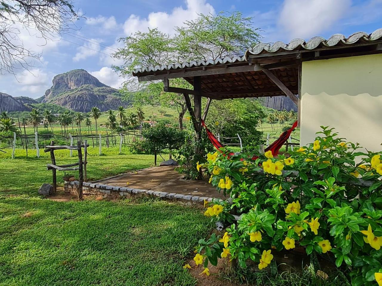 Double Room with Mountain View photo 3