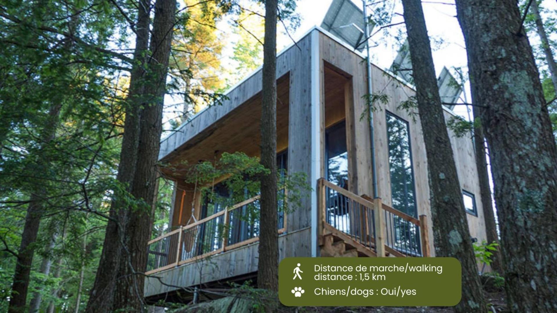 Chalet photo 2