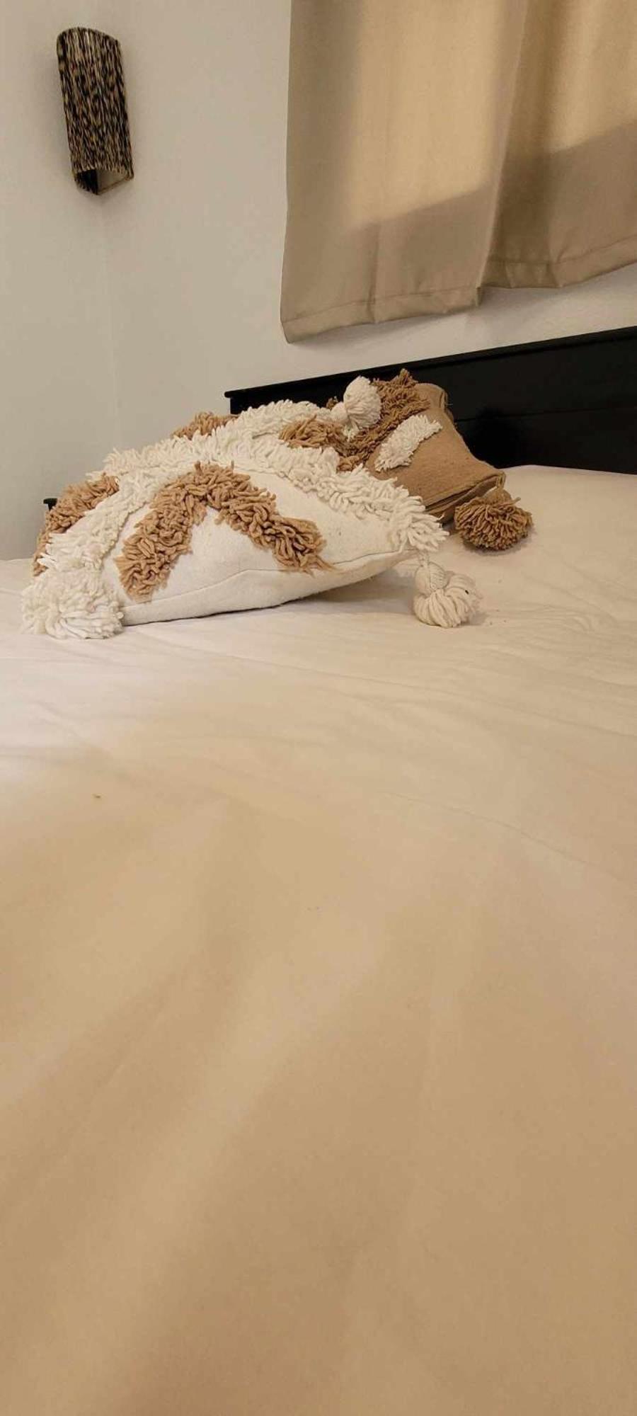 Double Room - Photo 3