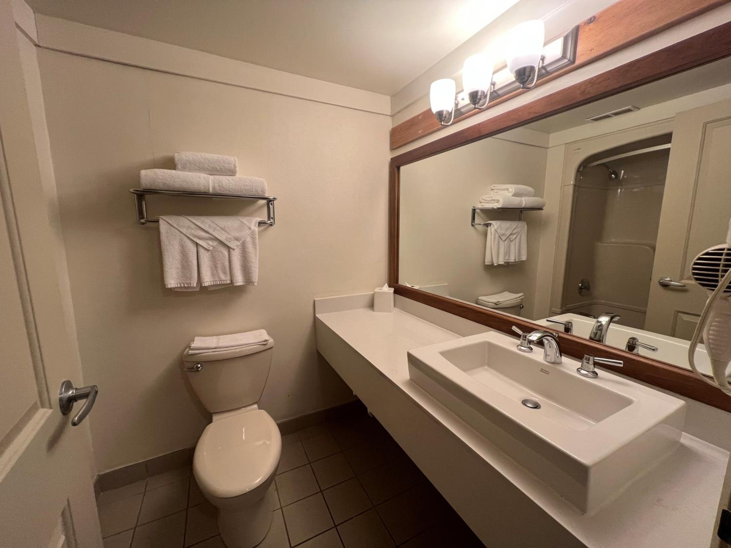 King Room - Non-Smoking - Photo 7