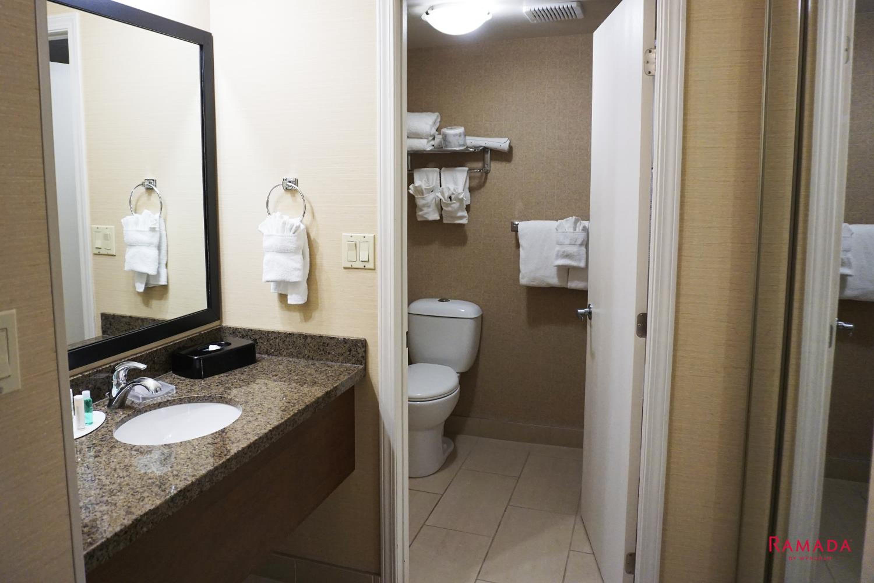 One-Bedroom Queen Suite with Sofa Bed - Photo 4