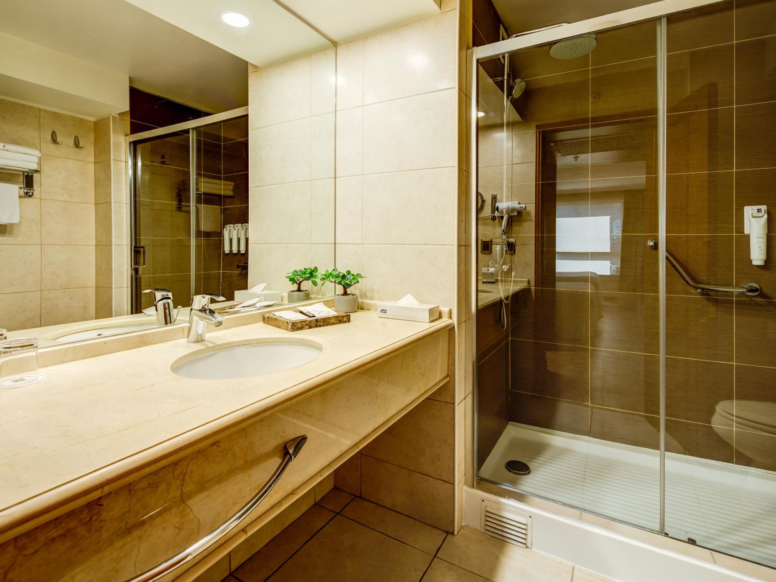 Executive Suite King - Photo 5