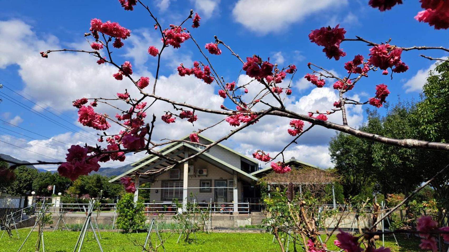 Villa With Garden View photo 2