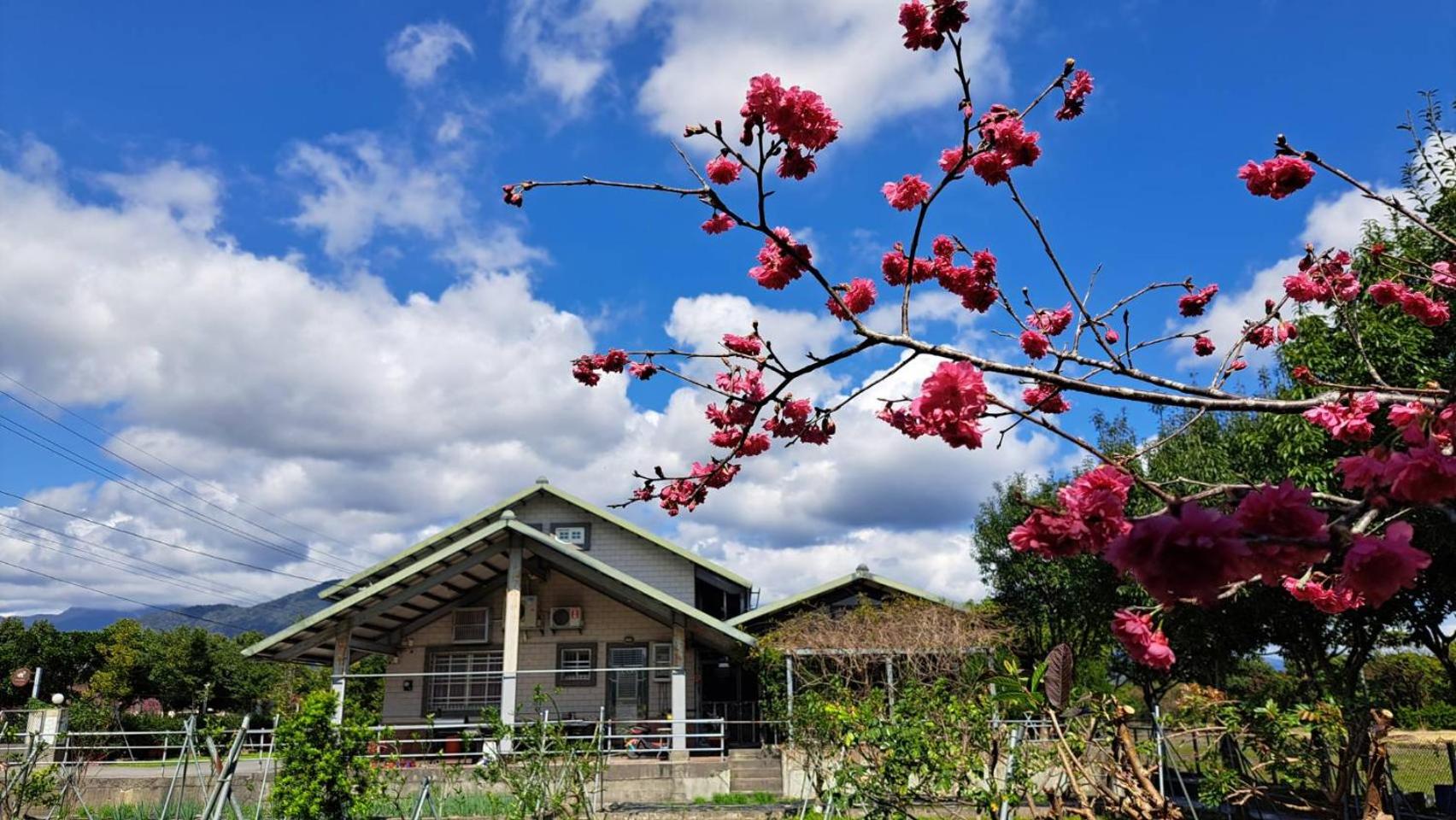 Villa with Garden View photo 1
