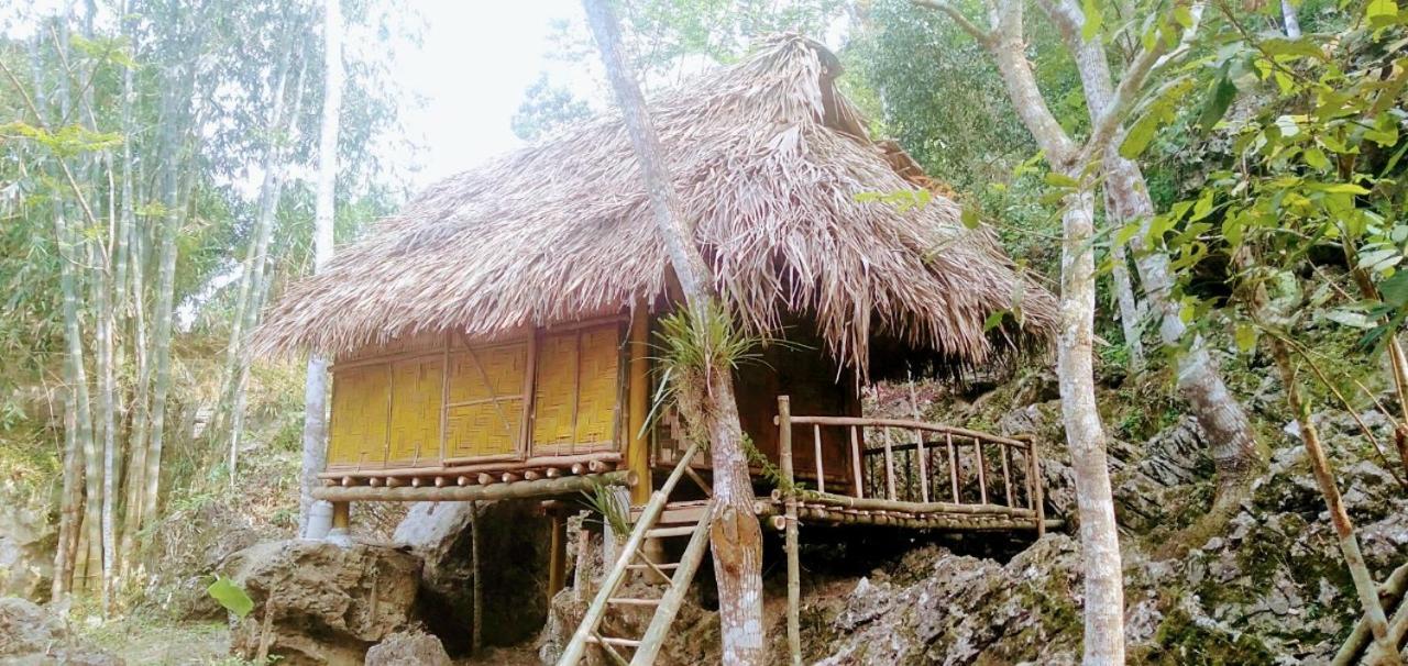 Family Bungalow photo 3