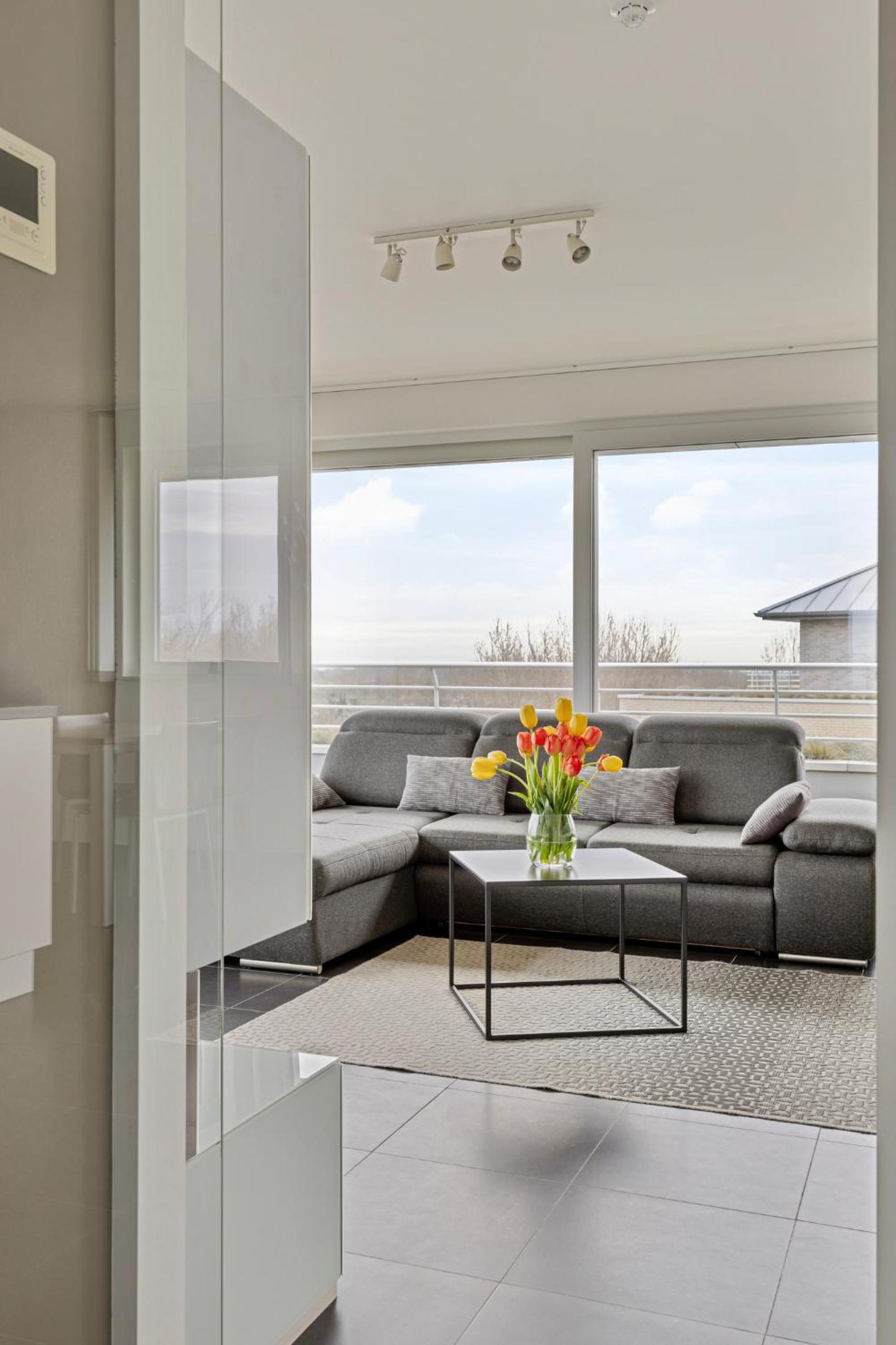 Penthouse Apartment - Photo 7