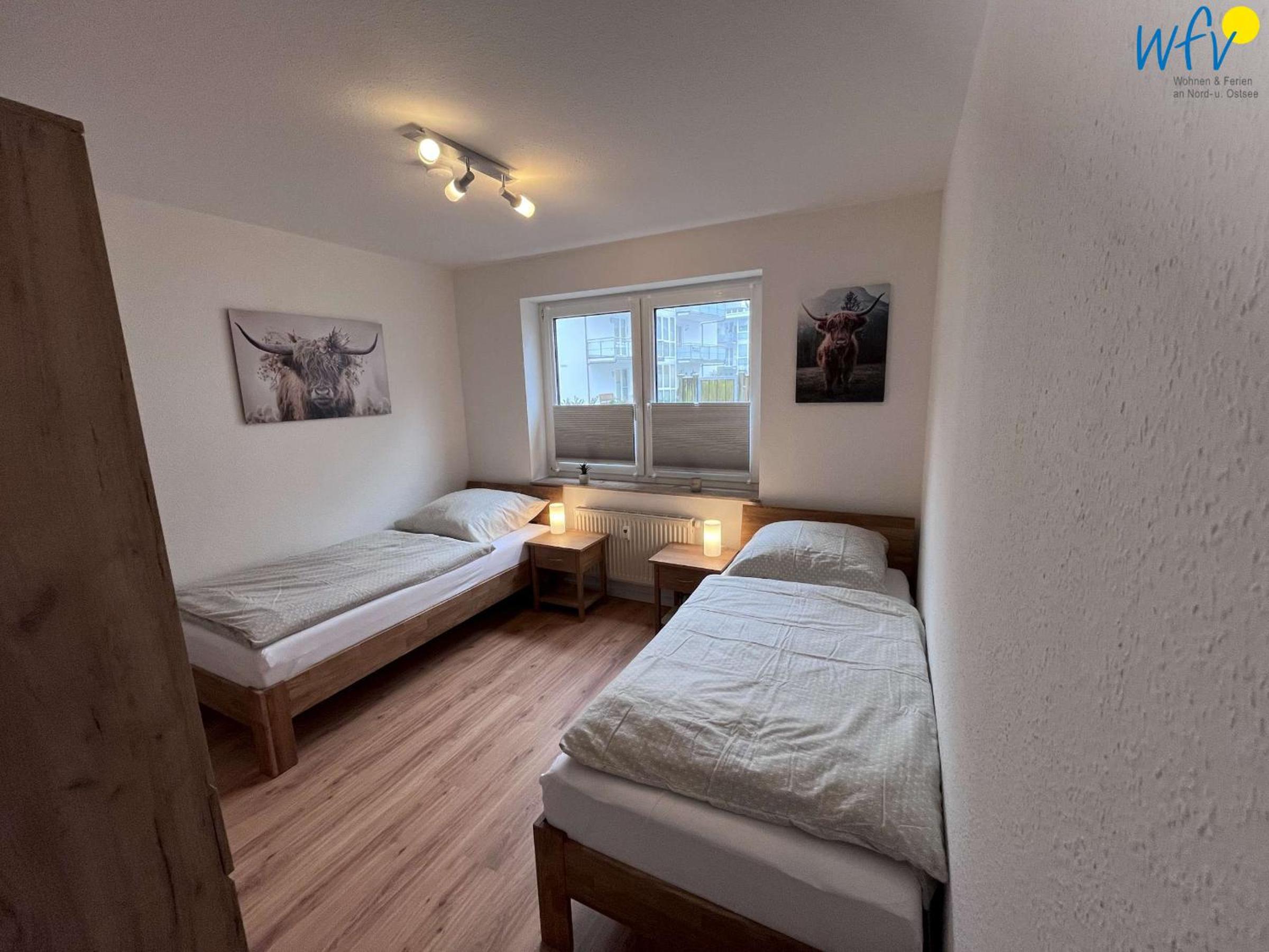 Apartment with Terrace photo 1