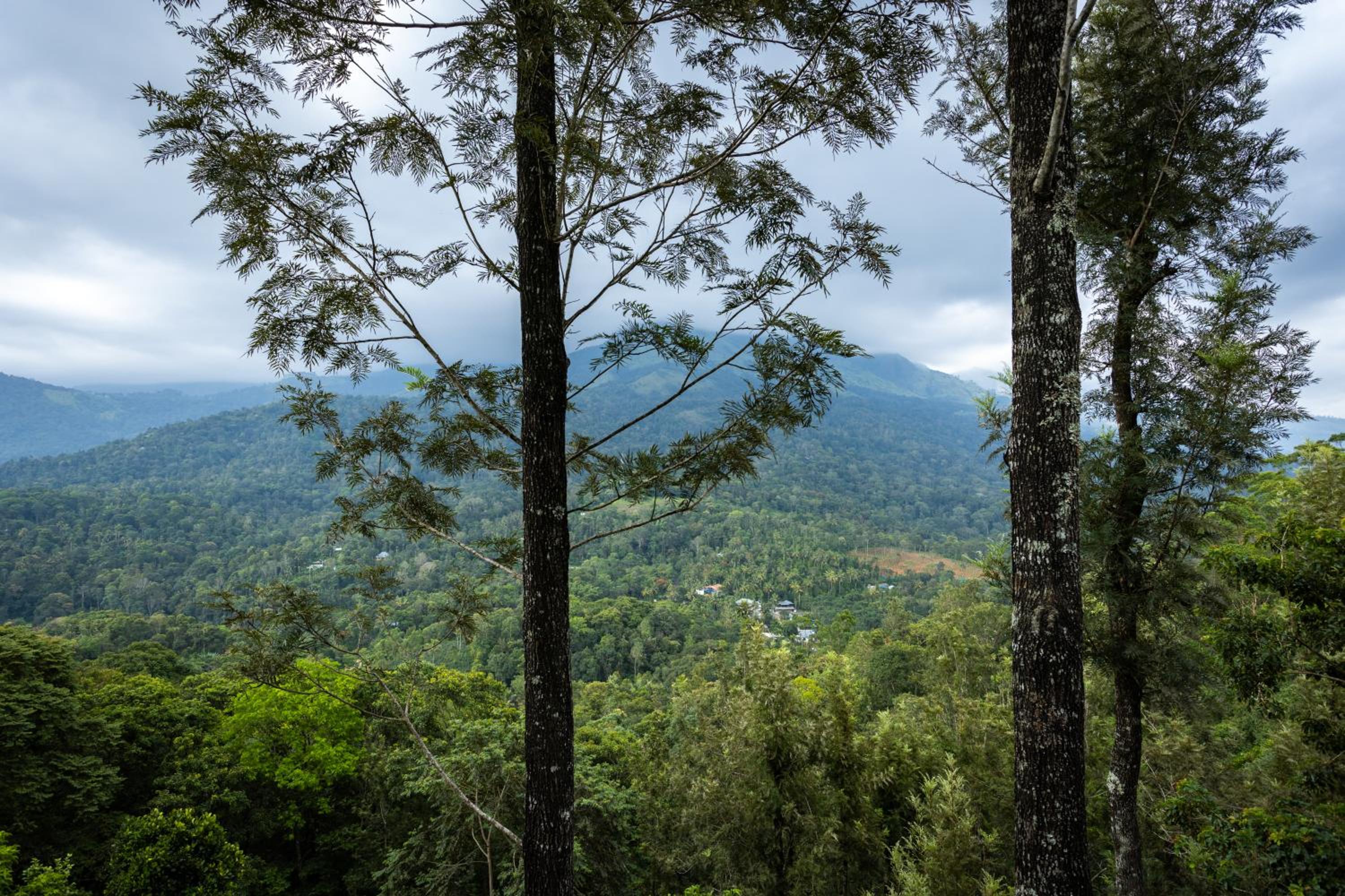 PREMIUM VALLEY VIEW - Photo 6