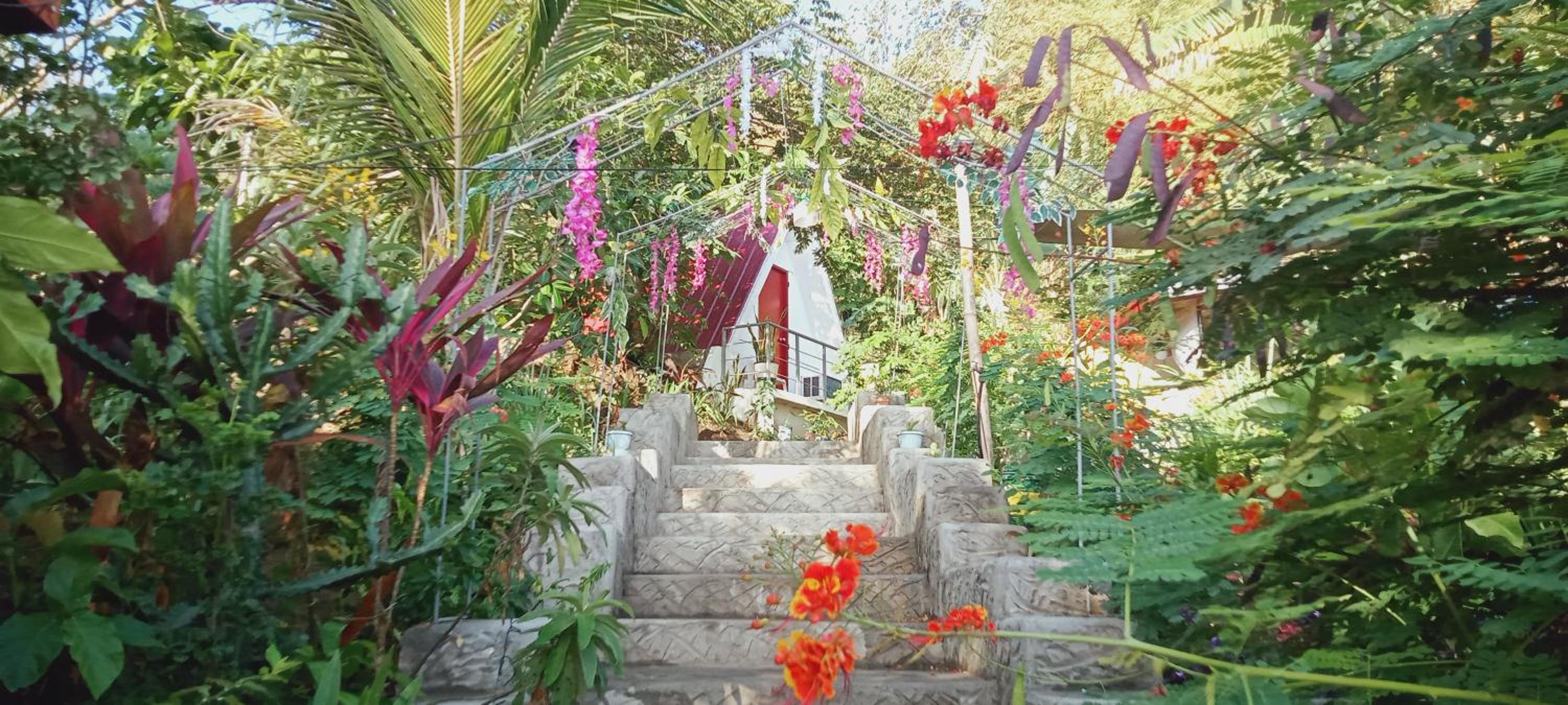 Family Room with Terrace photo 2