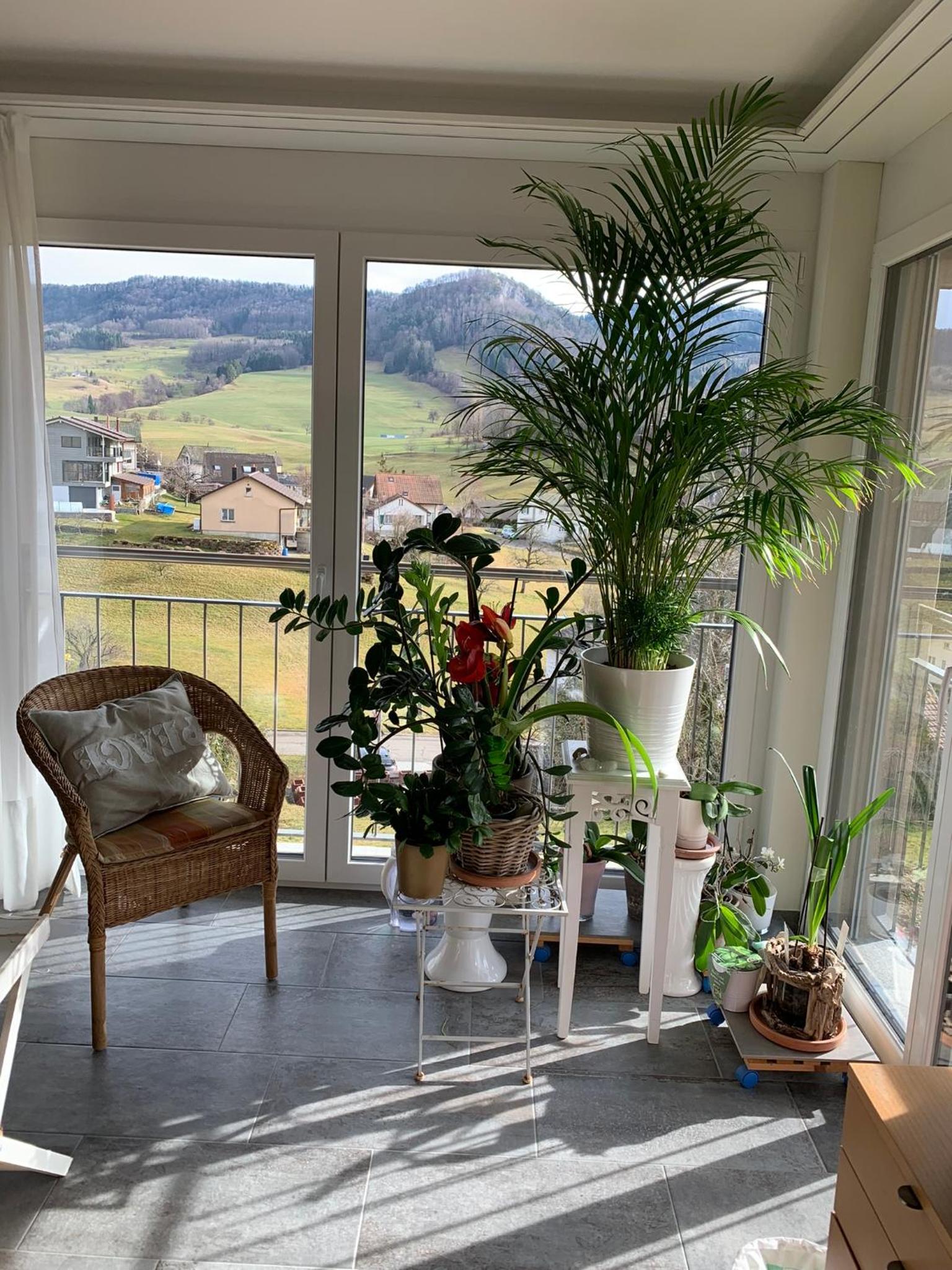 Double Room with Mountain View photo 2