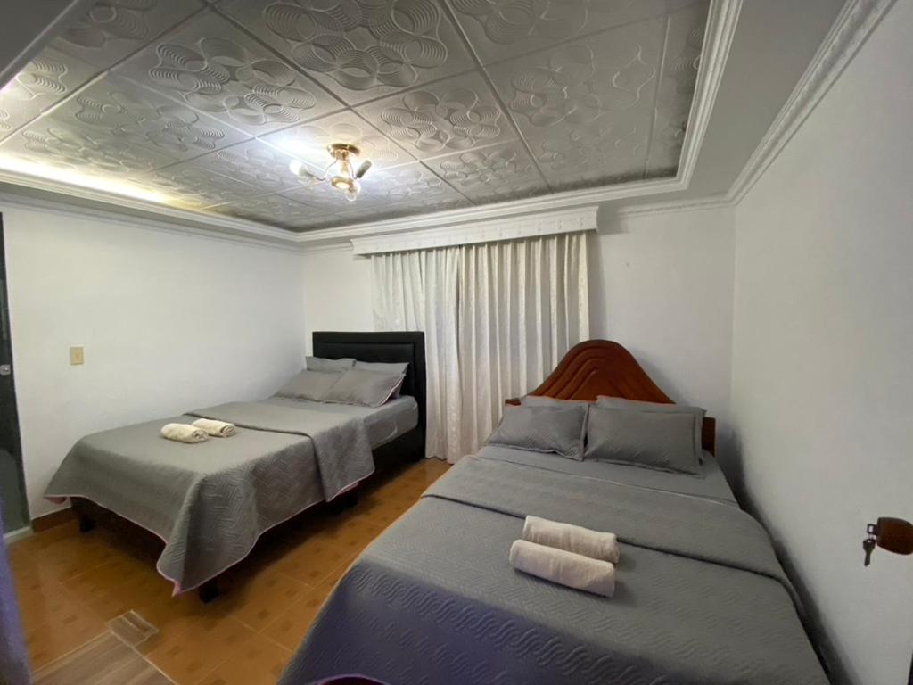One-Bedroom Apartment photo 3