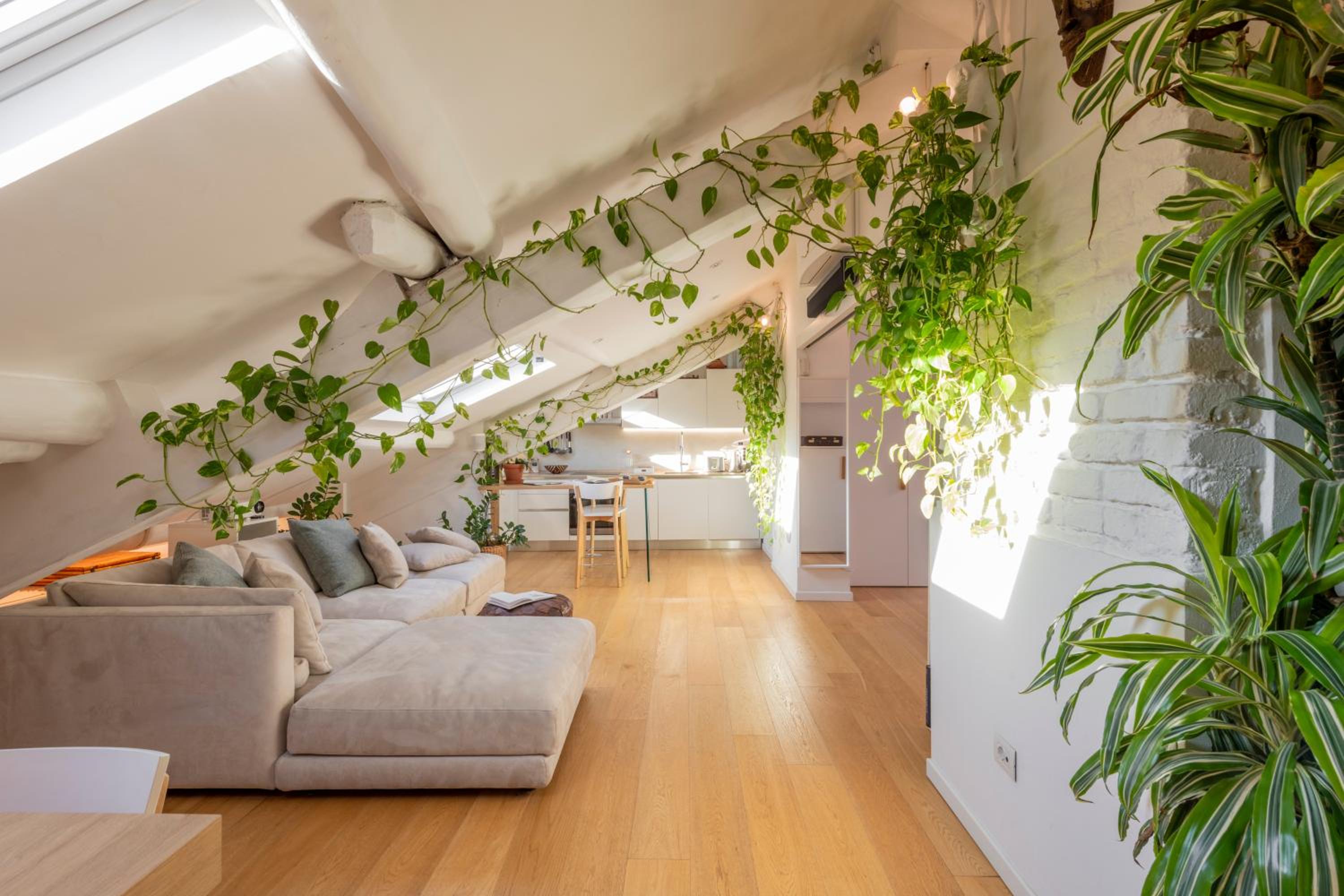 Penthouse Apartment