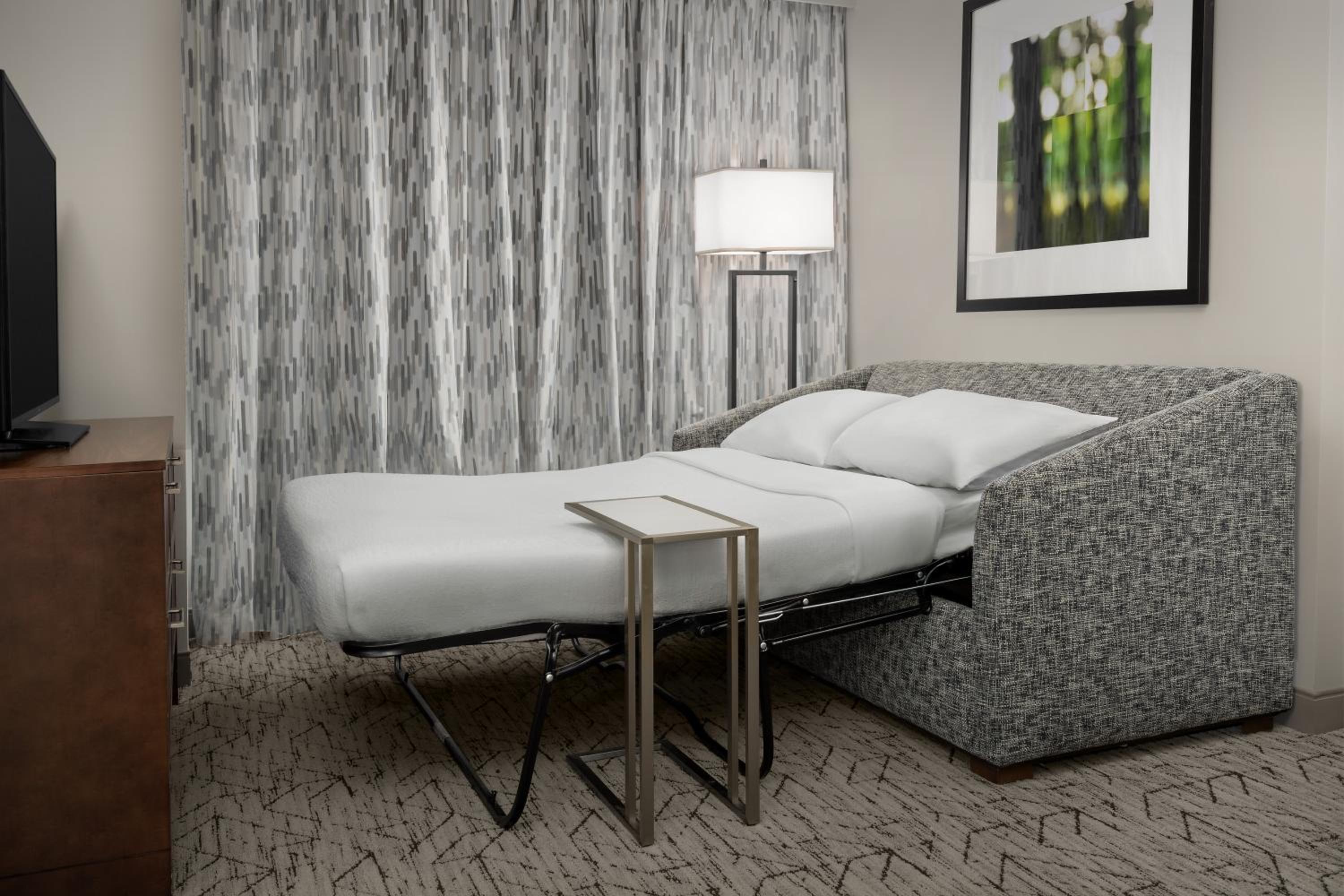 Two-Bedroom Suite with Mobility/Hearing Access Tub photo 3