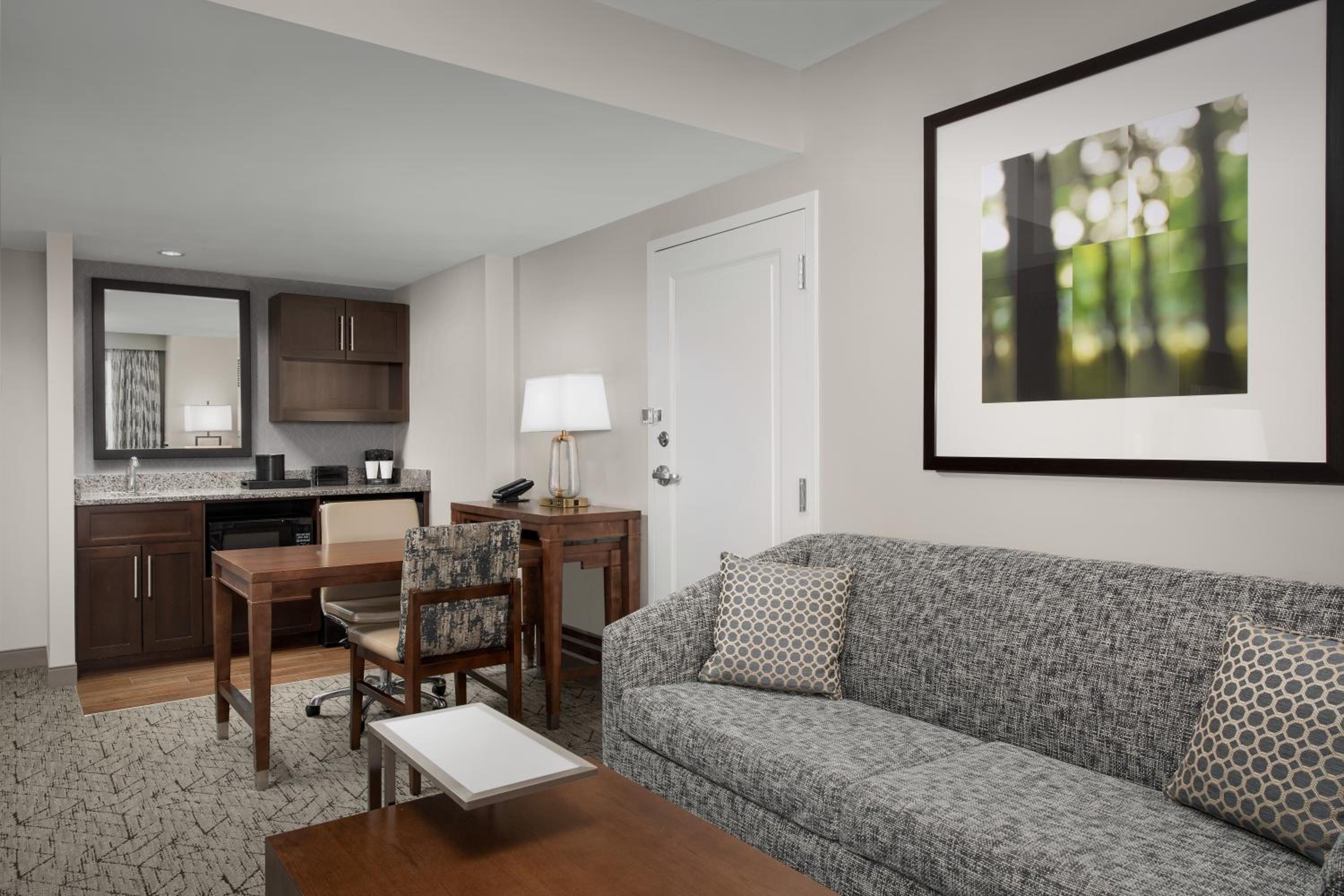 One-Bedroom King Suite with Kitchen - Non-Smoking