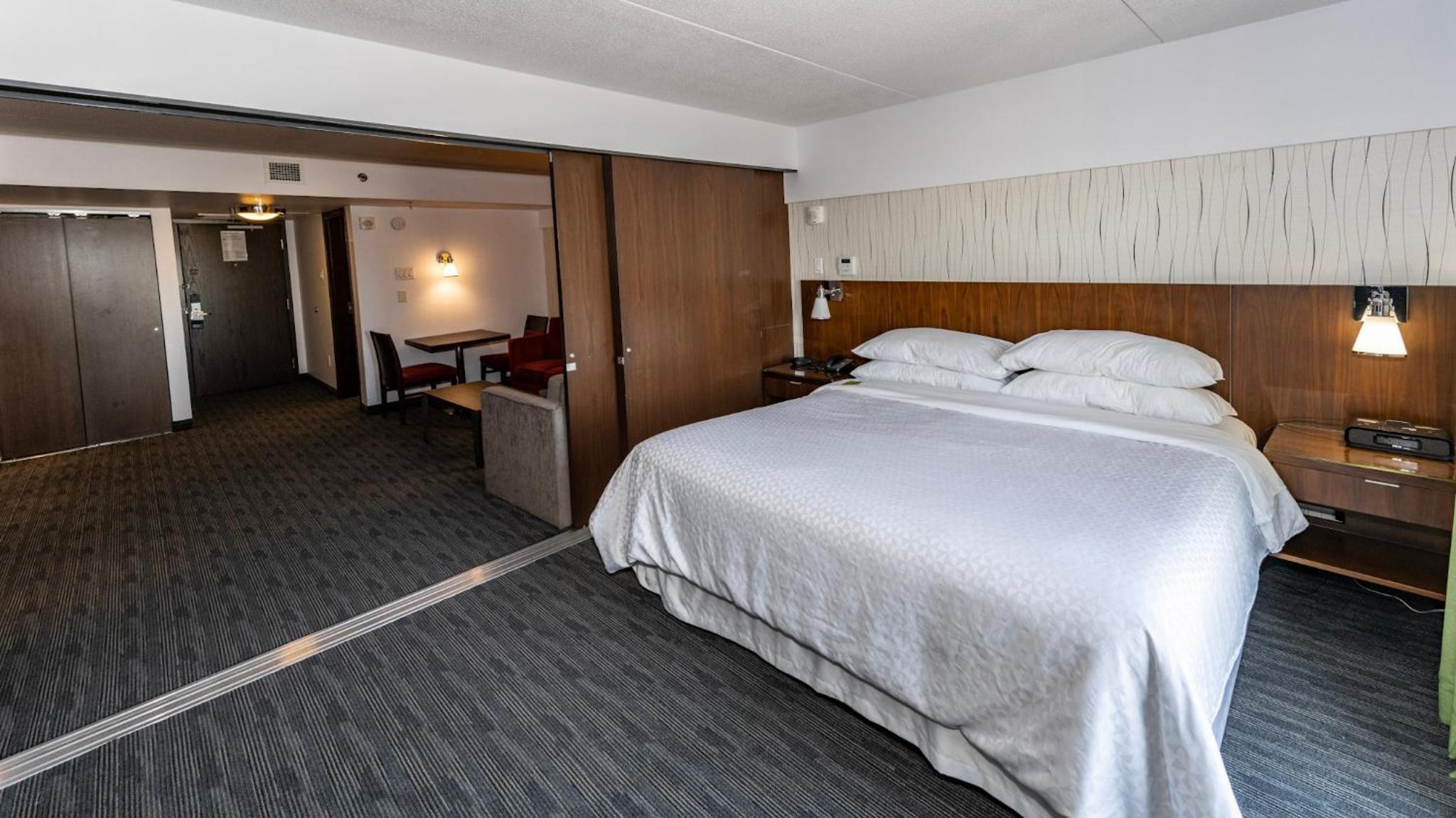Deluxe King Suite - Non-Smoking - Photo 5