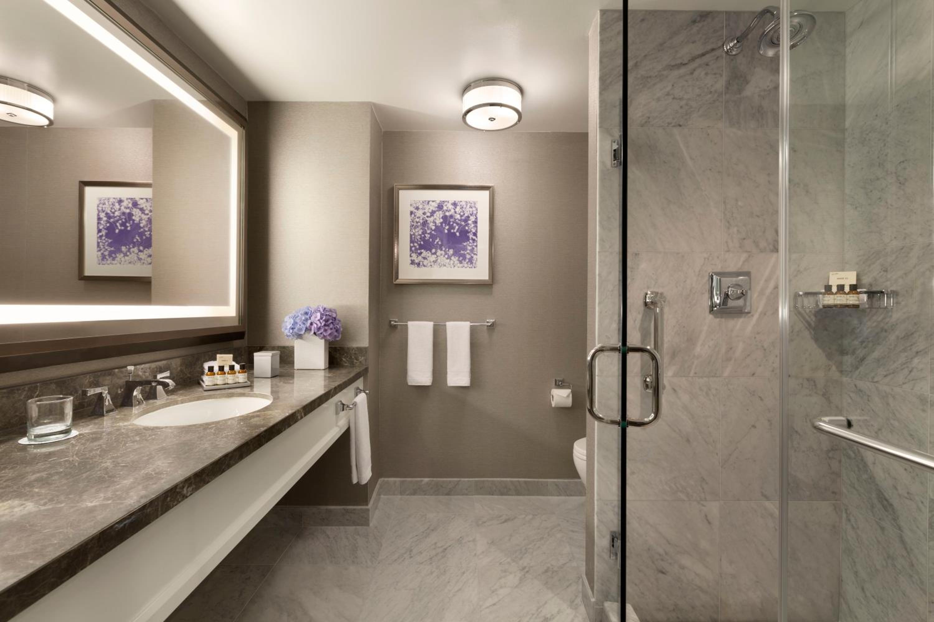 Fairmont King Room - Photo 3