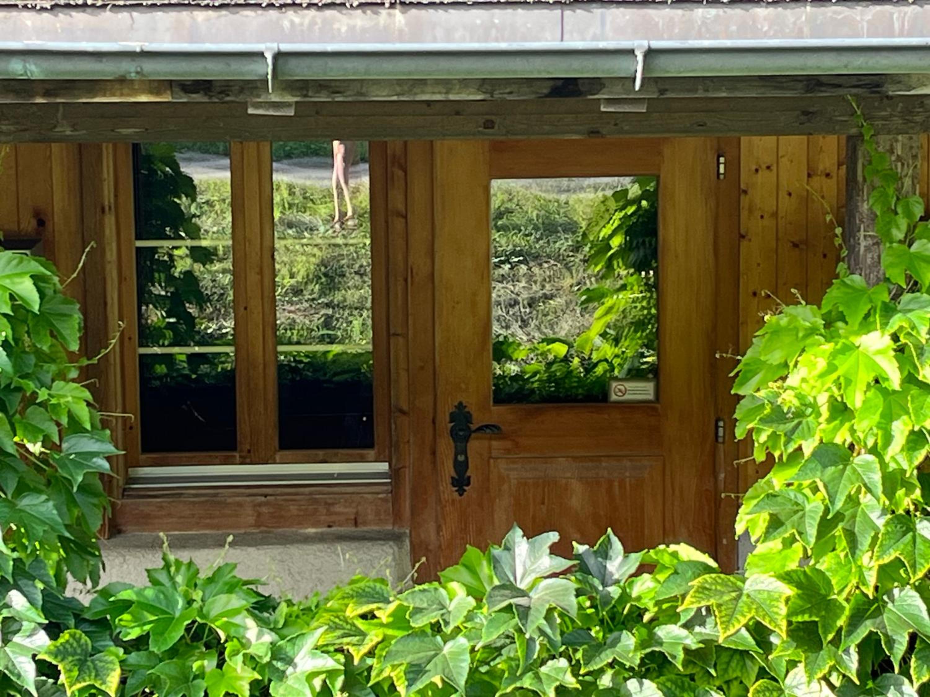 Three-Bedroom Chalet photo 1