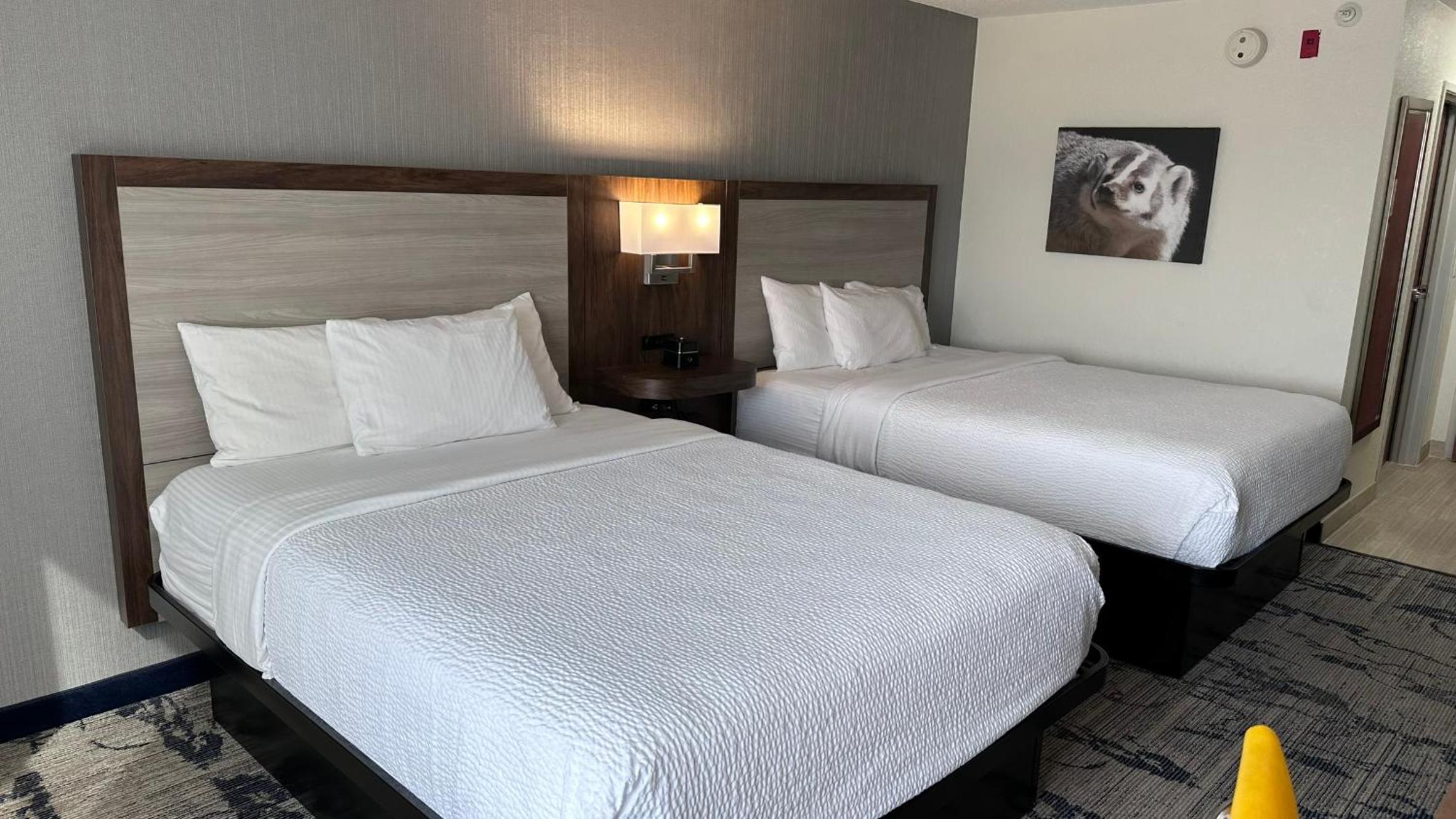 Double Room with Two Double Beds - Pet Friendly/Non-Smoking - Photo 4