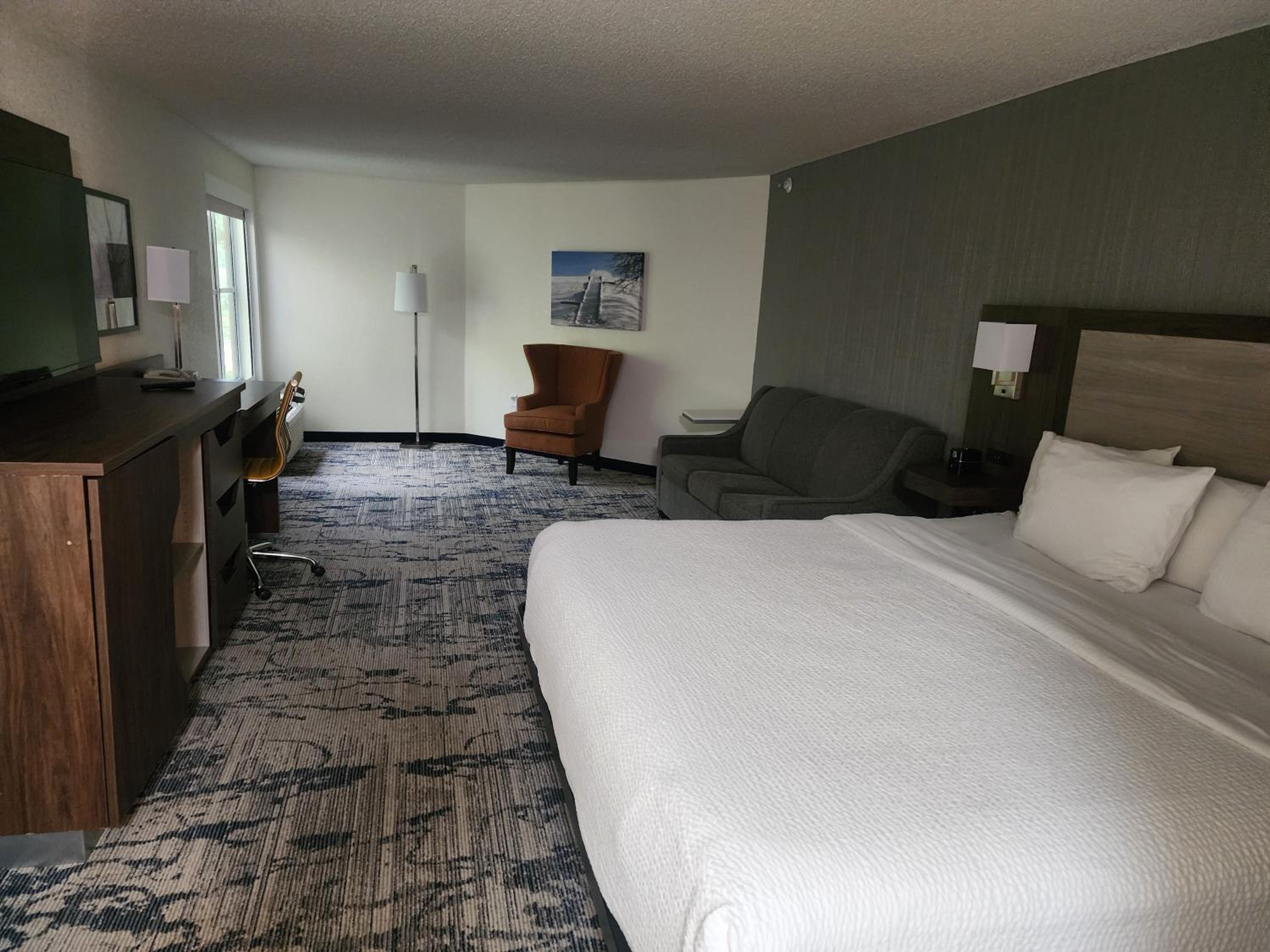 King Studio Suite - Pet-Friendly/Non-Smoking - Photo 6