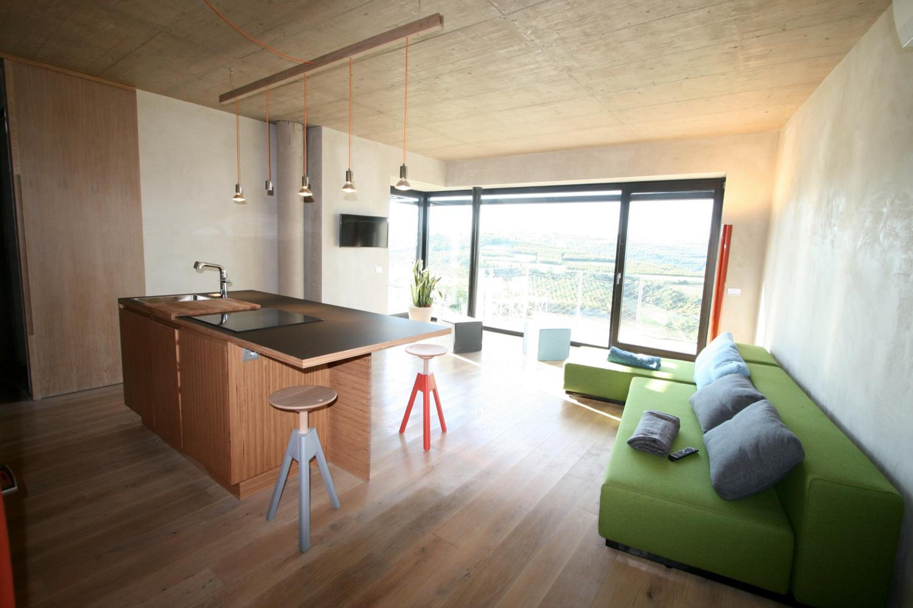 Deluxe One-Bedroom Apartment