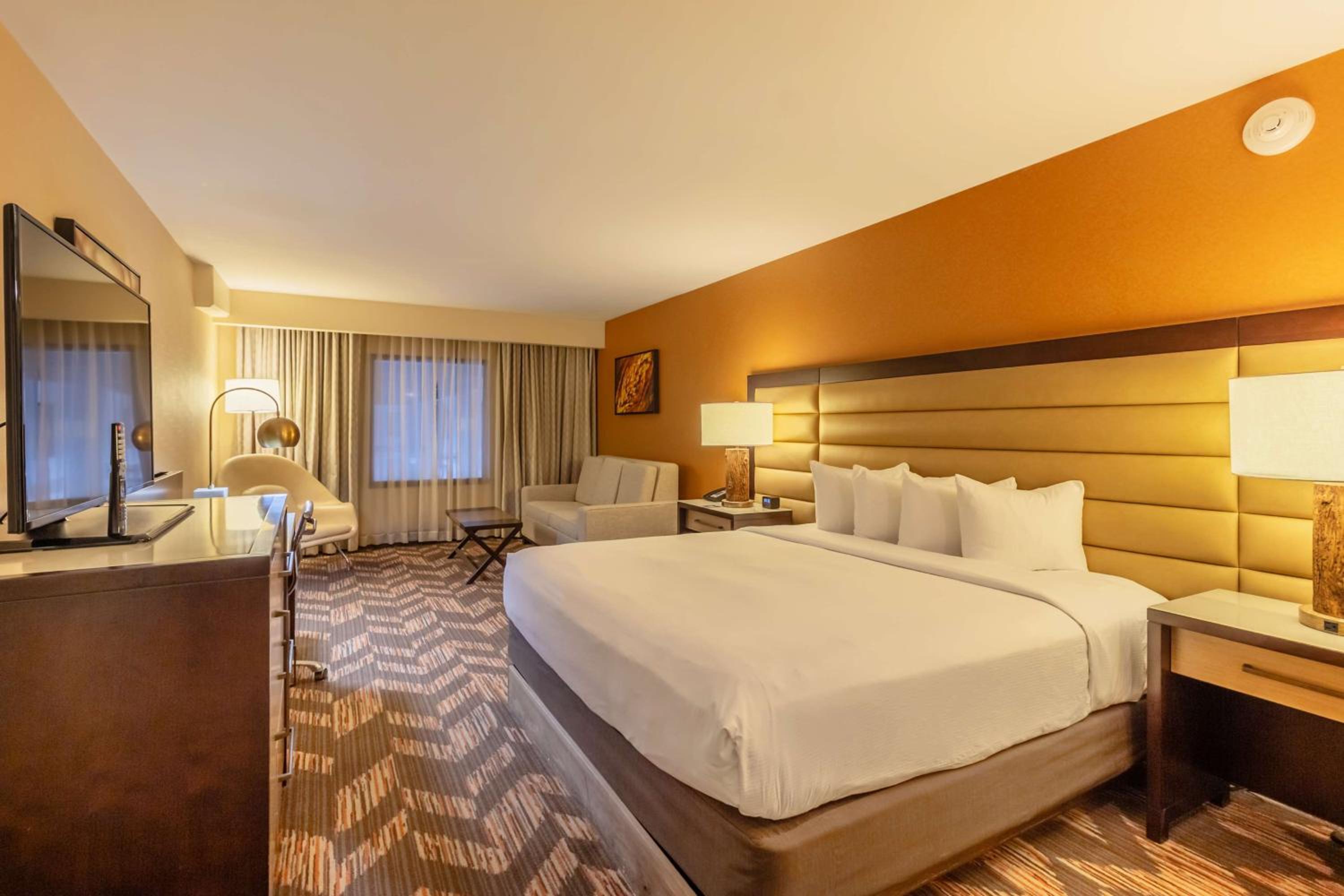 Deluxe King Room - Photo 1