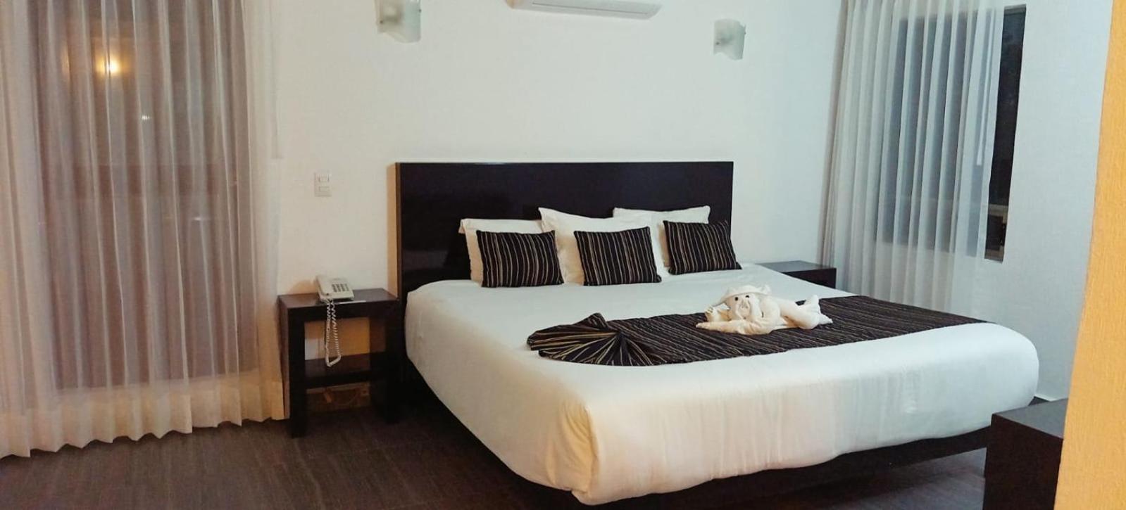 Single Room with Garden View