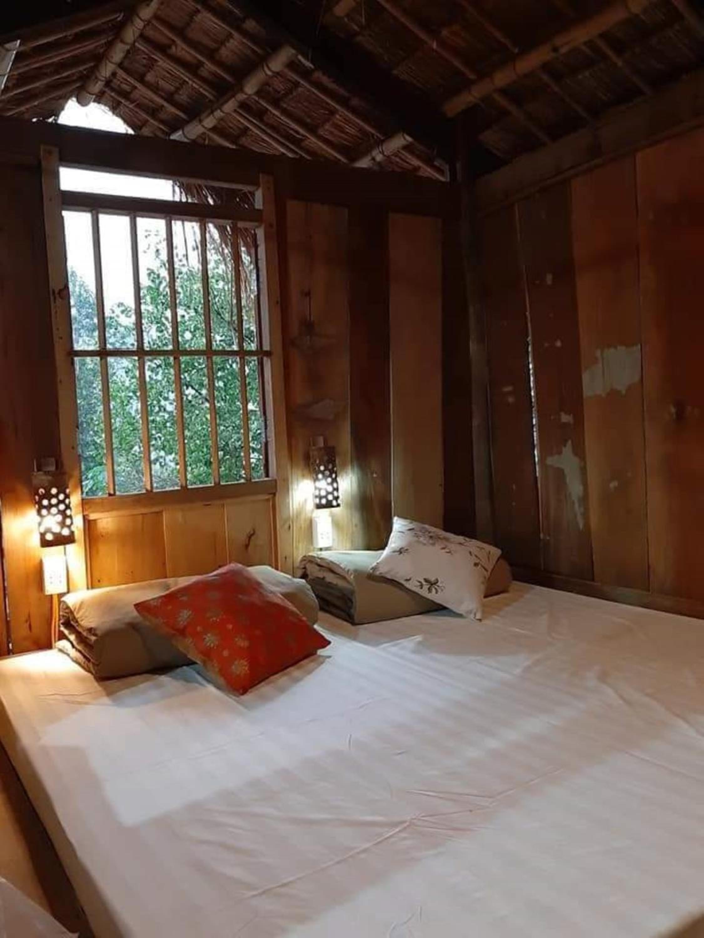 Bunk Bed in Mixed Dormitory Room photo 1
