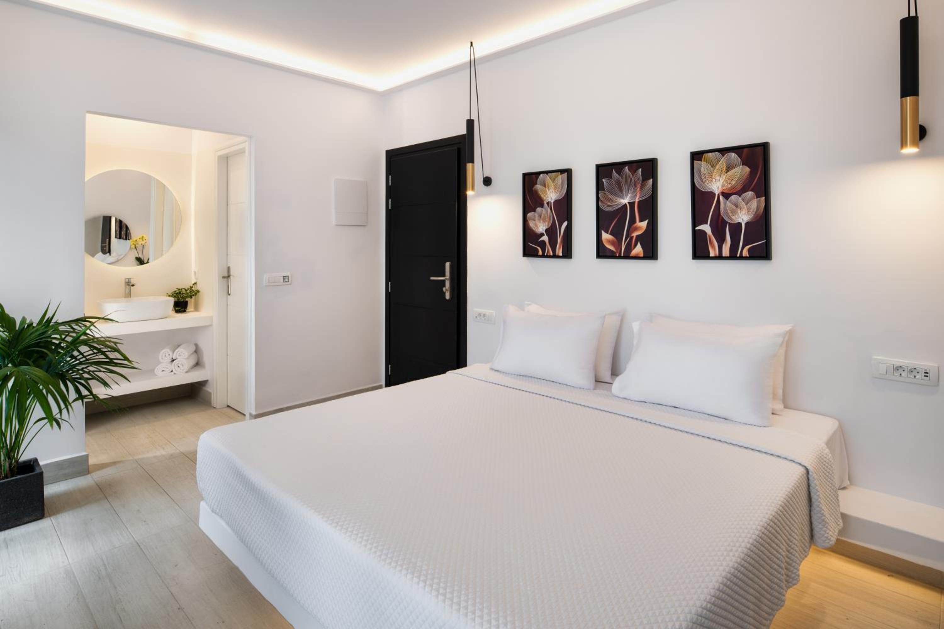 Deluxe Suite with outdoor plunge pool - Photo 4