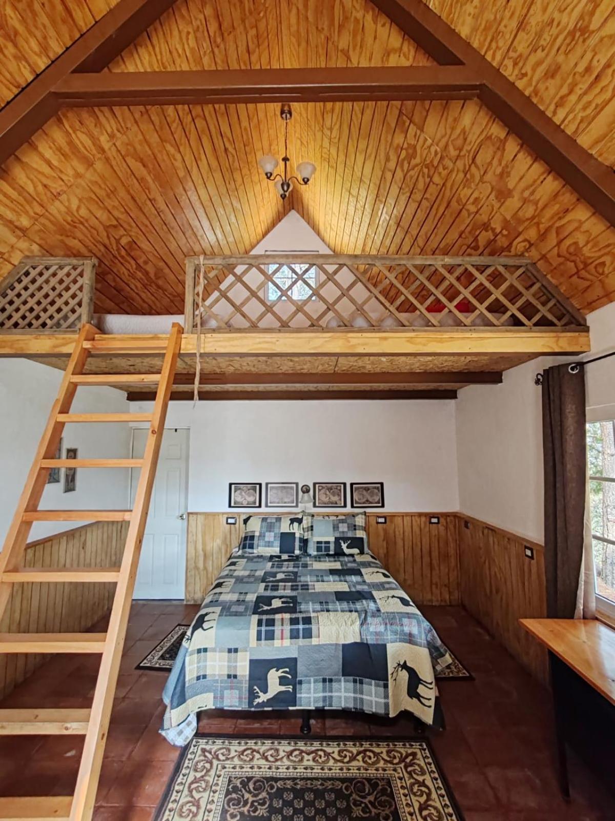 Family Bungalow photo 1