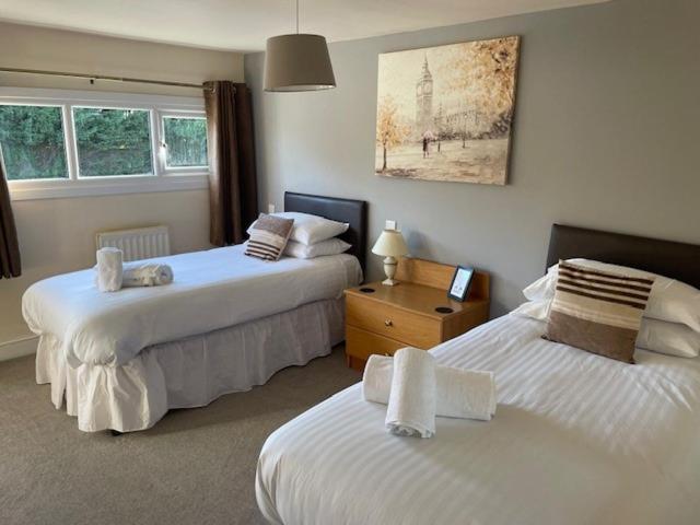Standard Twin Room - Photo 3