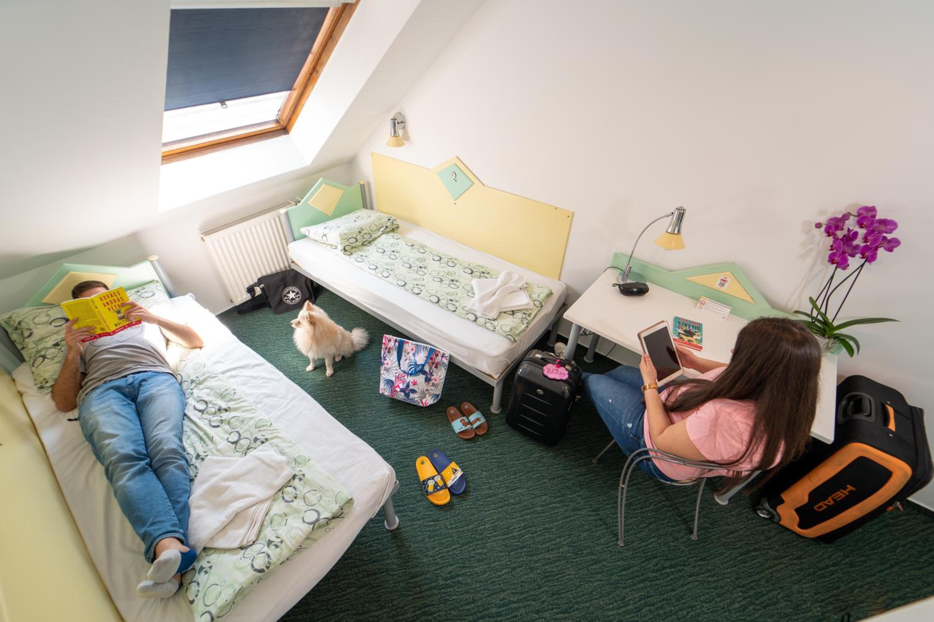 Twin Room - Photo 7