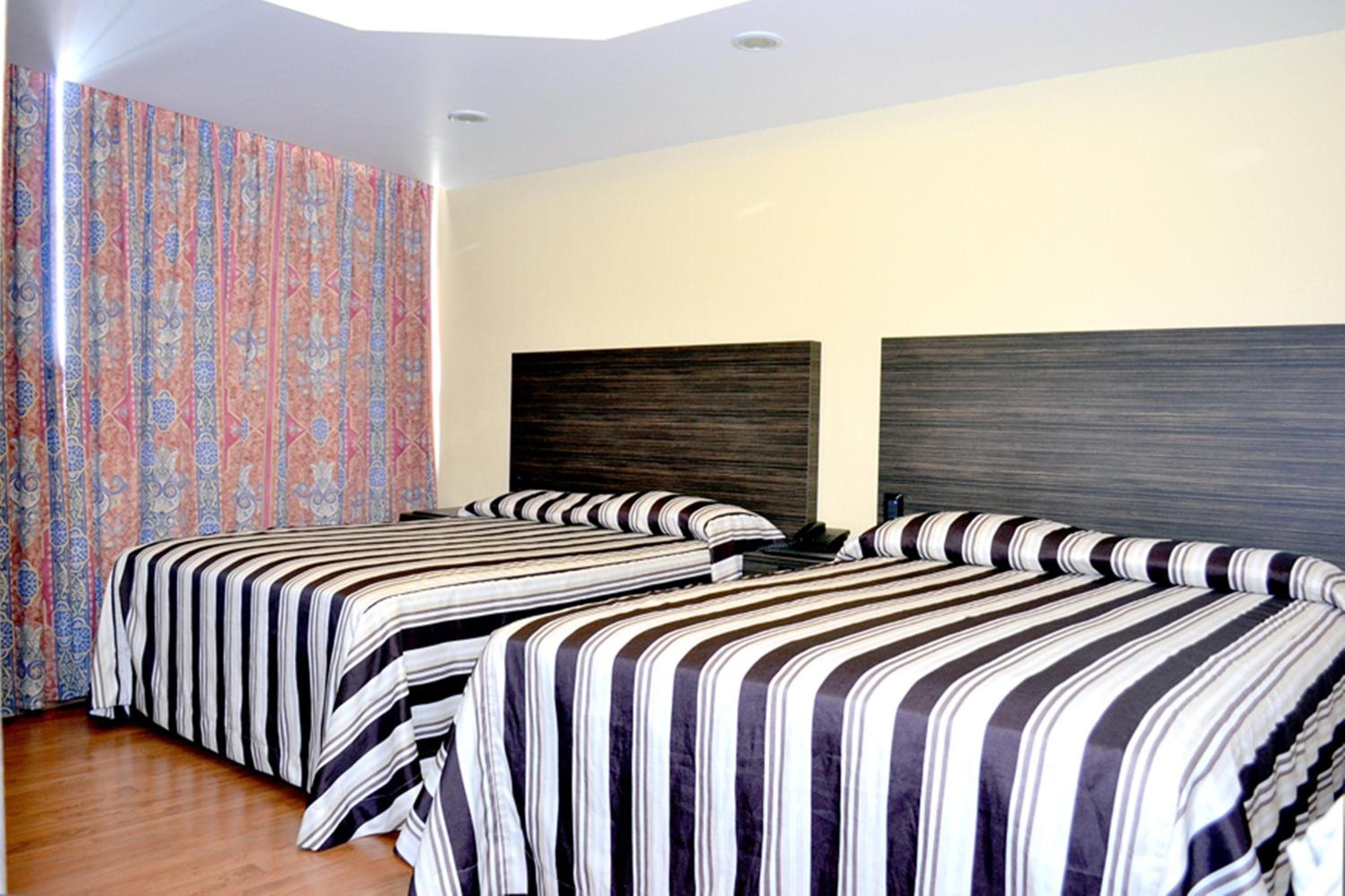 Suite - Photo 1