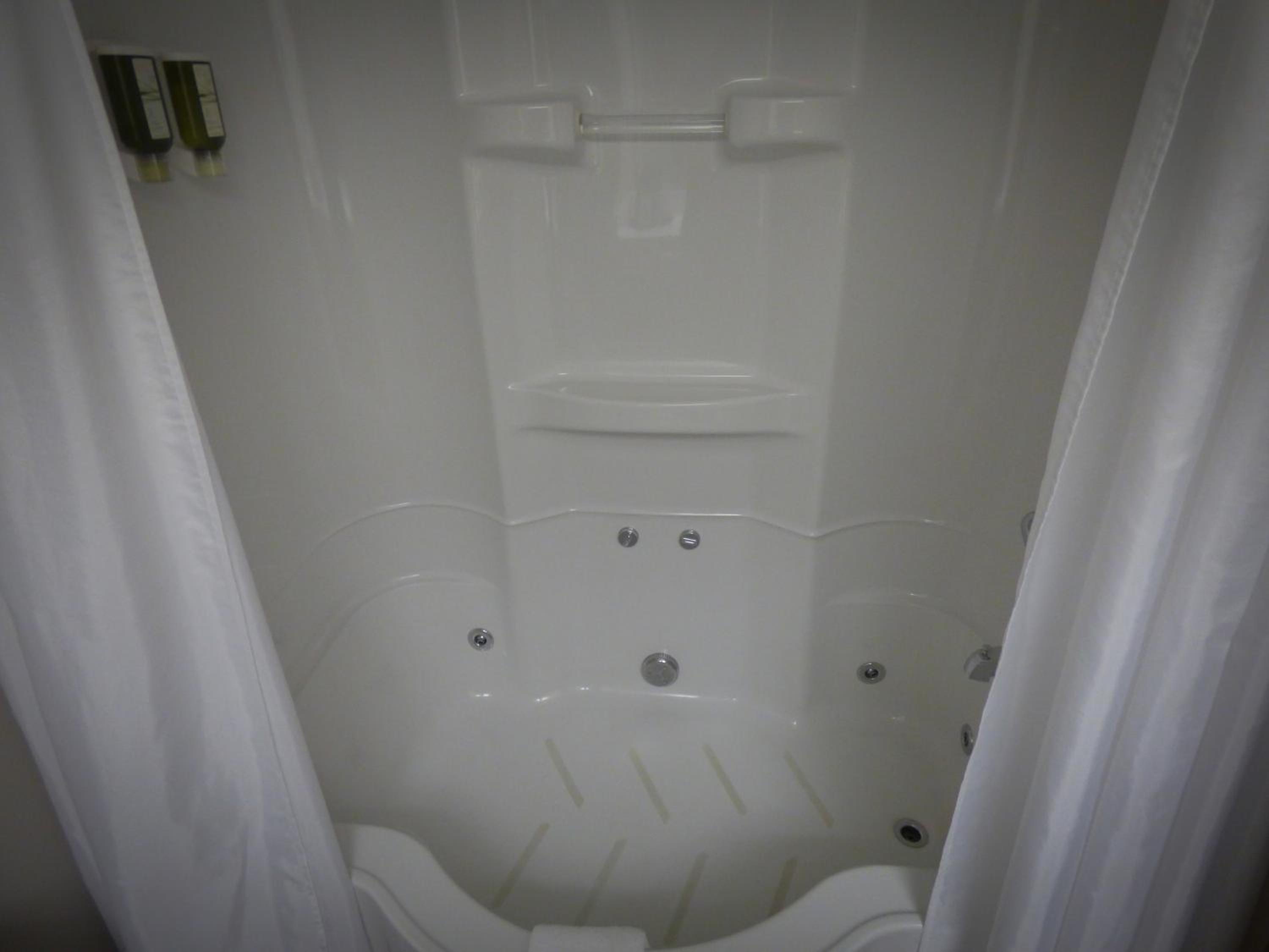 Deluxe Suite photo 2