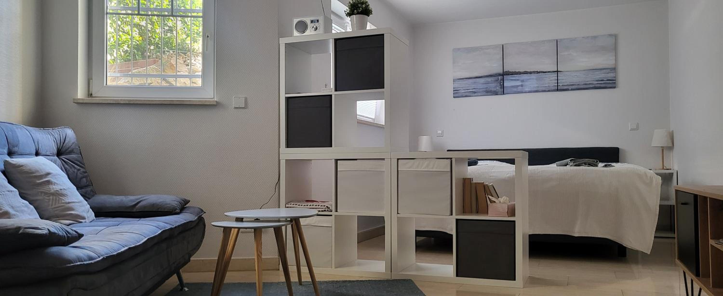 One-Bedroom Apartment photo 2