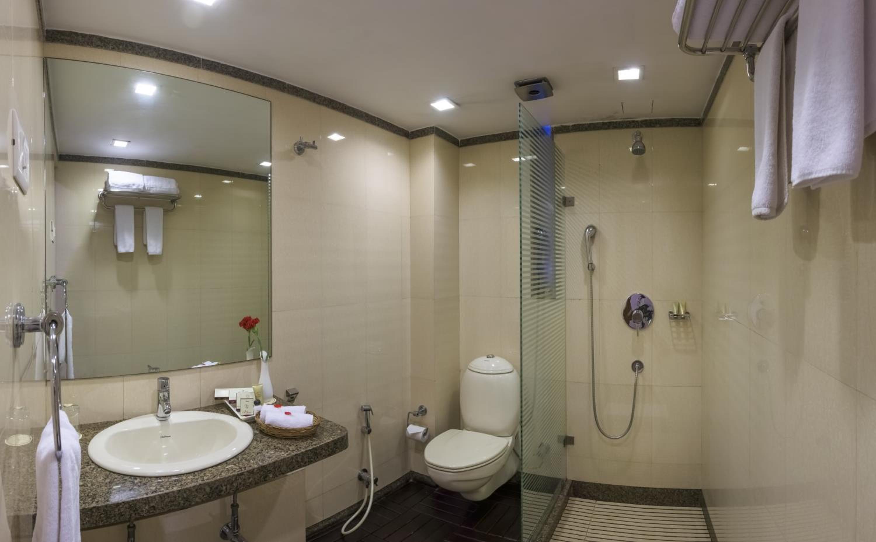 Deluxe Double or Twin Room - Photo 10