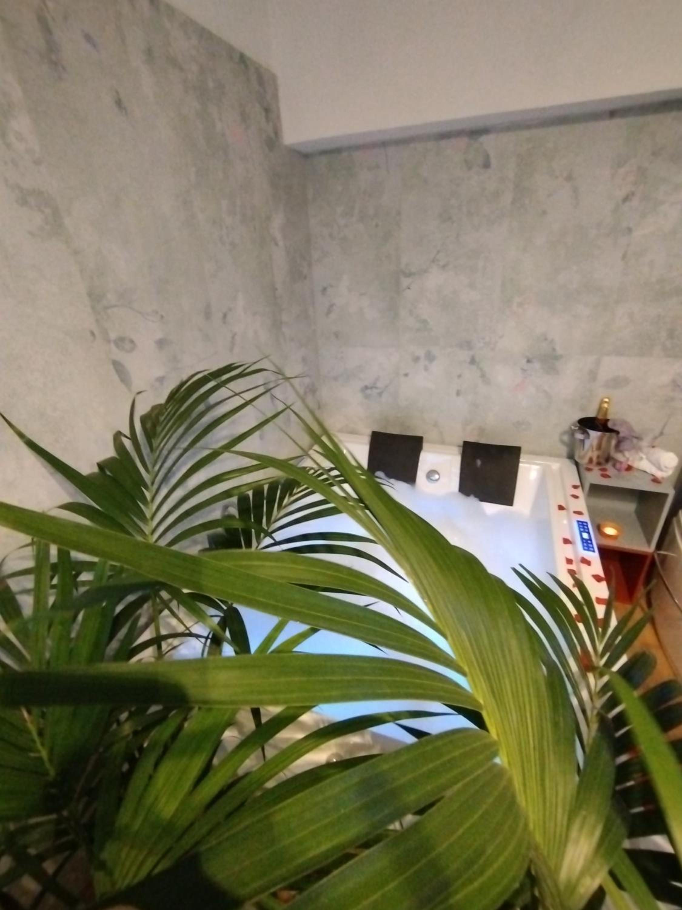 Business Double Room with Gym Access photo 3