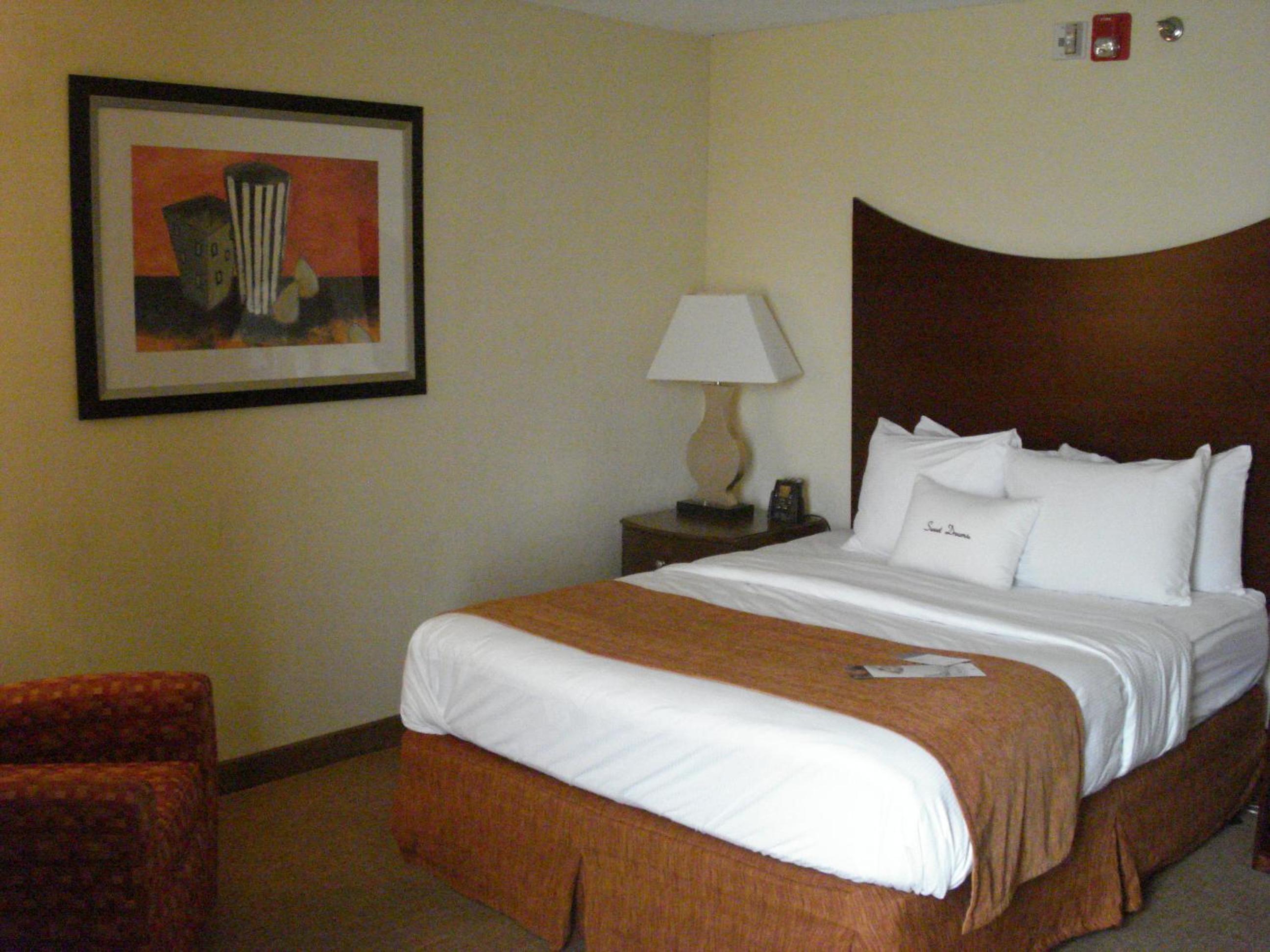 Queen Room with Roll-In Shower- Disability/Hearing Accessible - Non- Smoking - Photo 4
