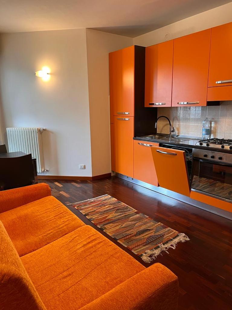 One-Bedroom Apartment photo 3